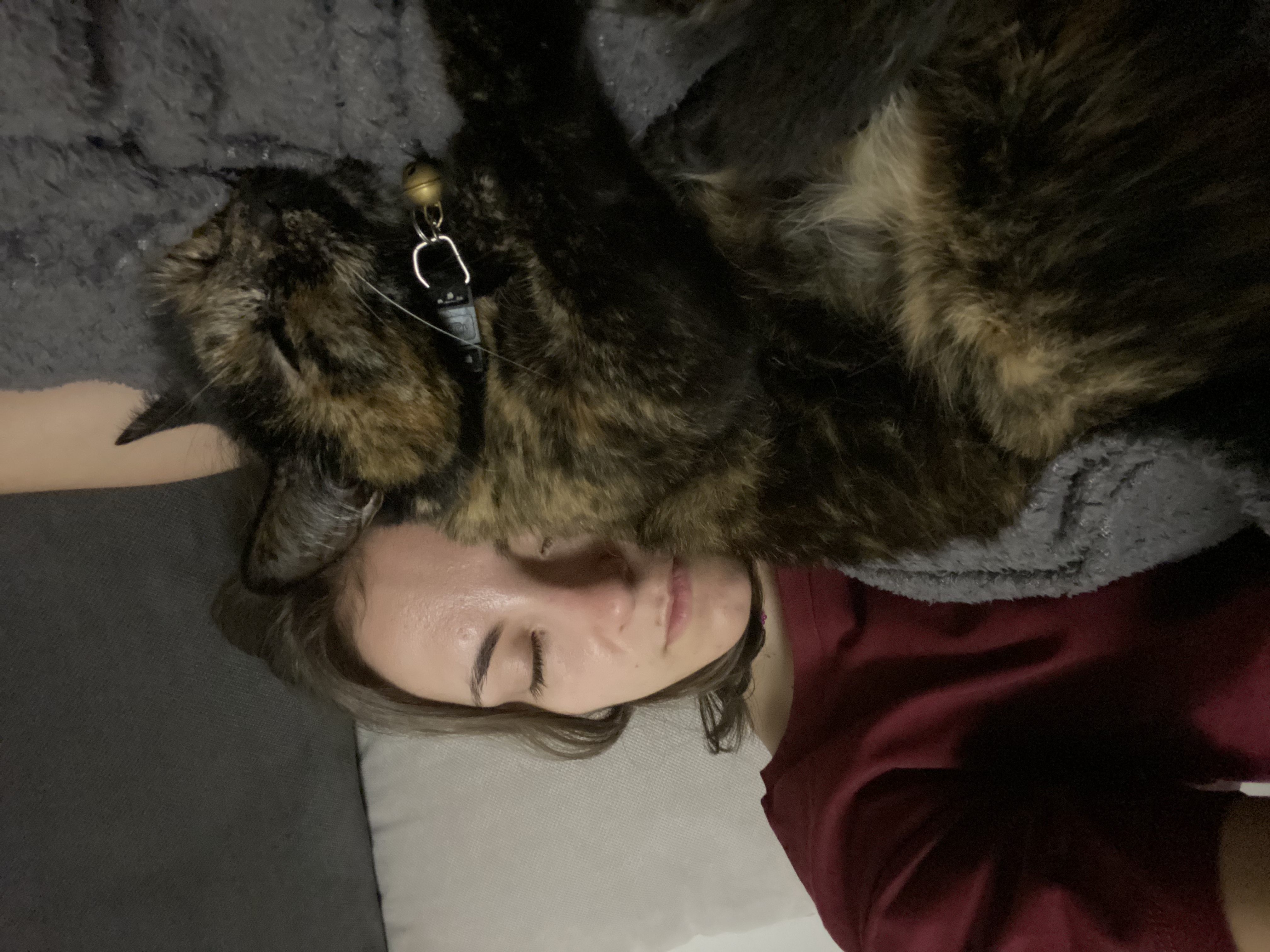 image-8