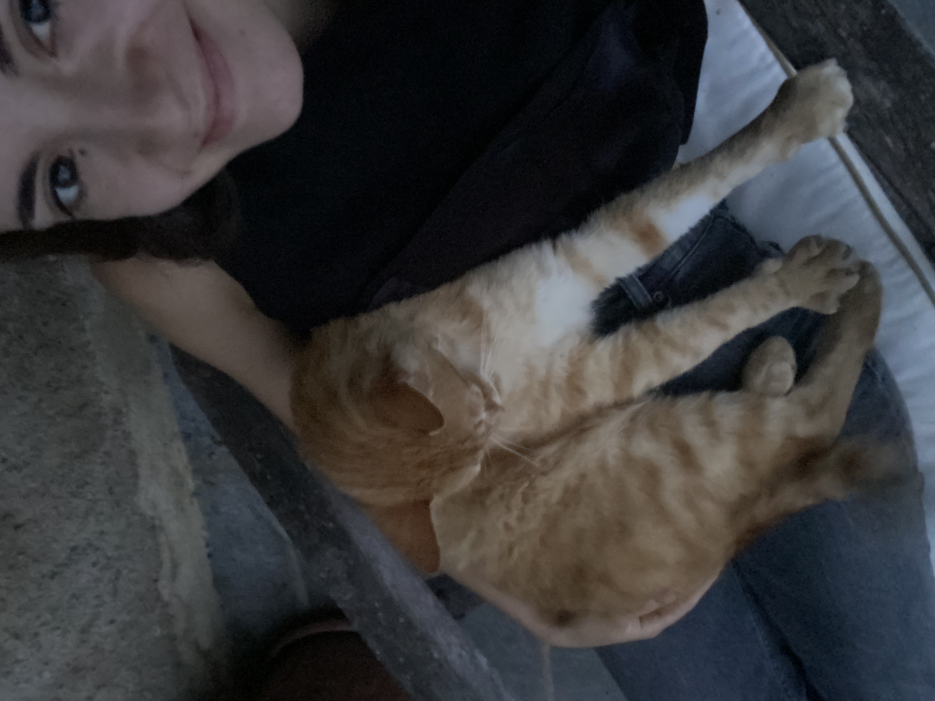 image-7