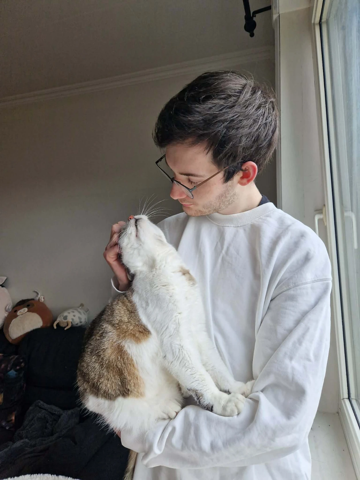 image-7