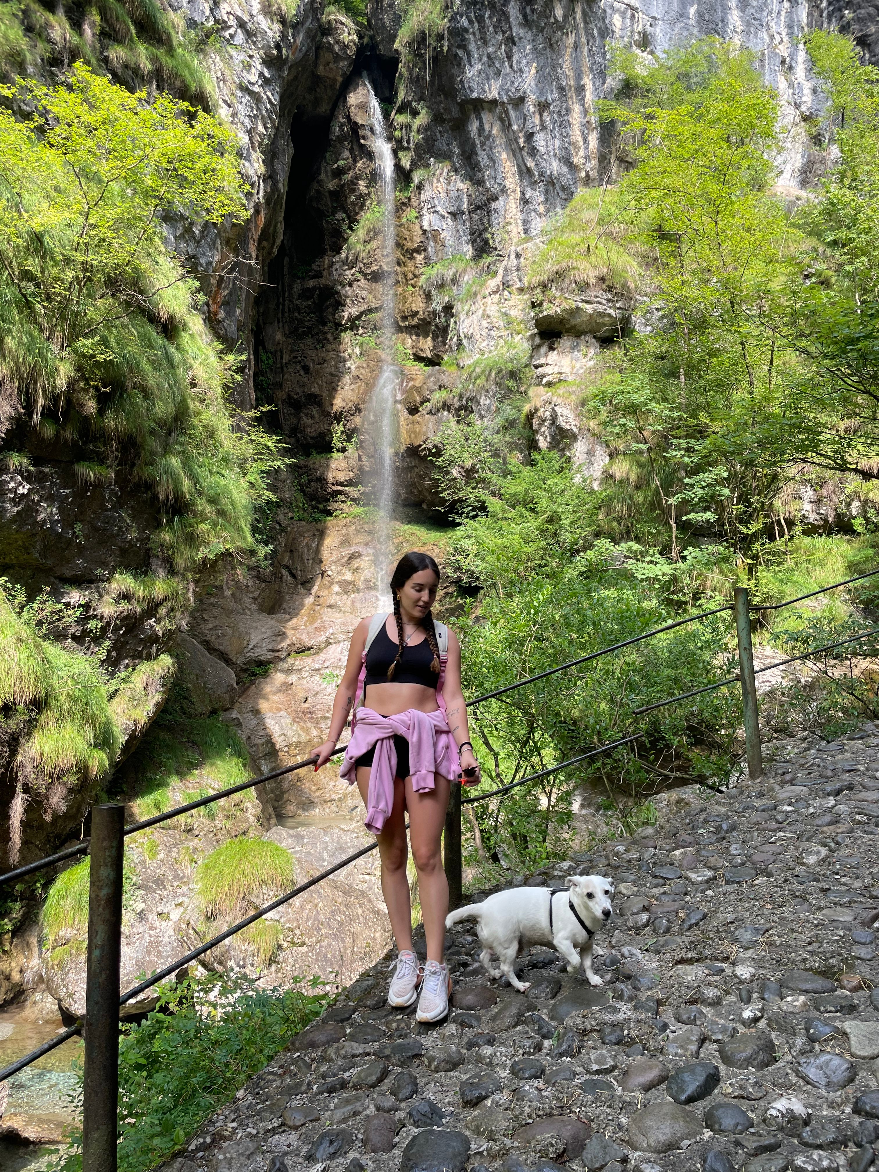 image-2