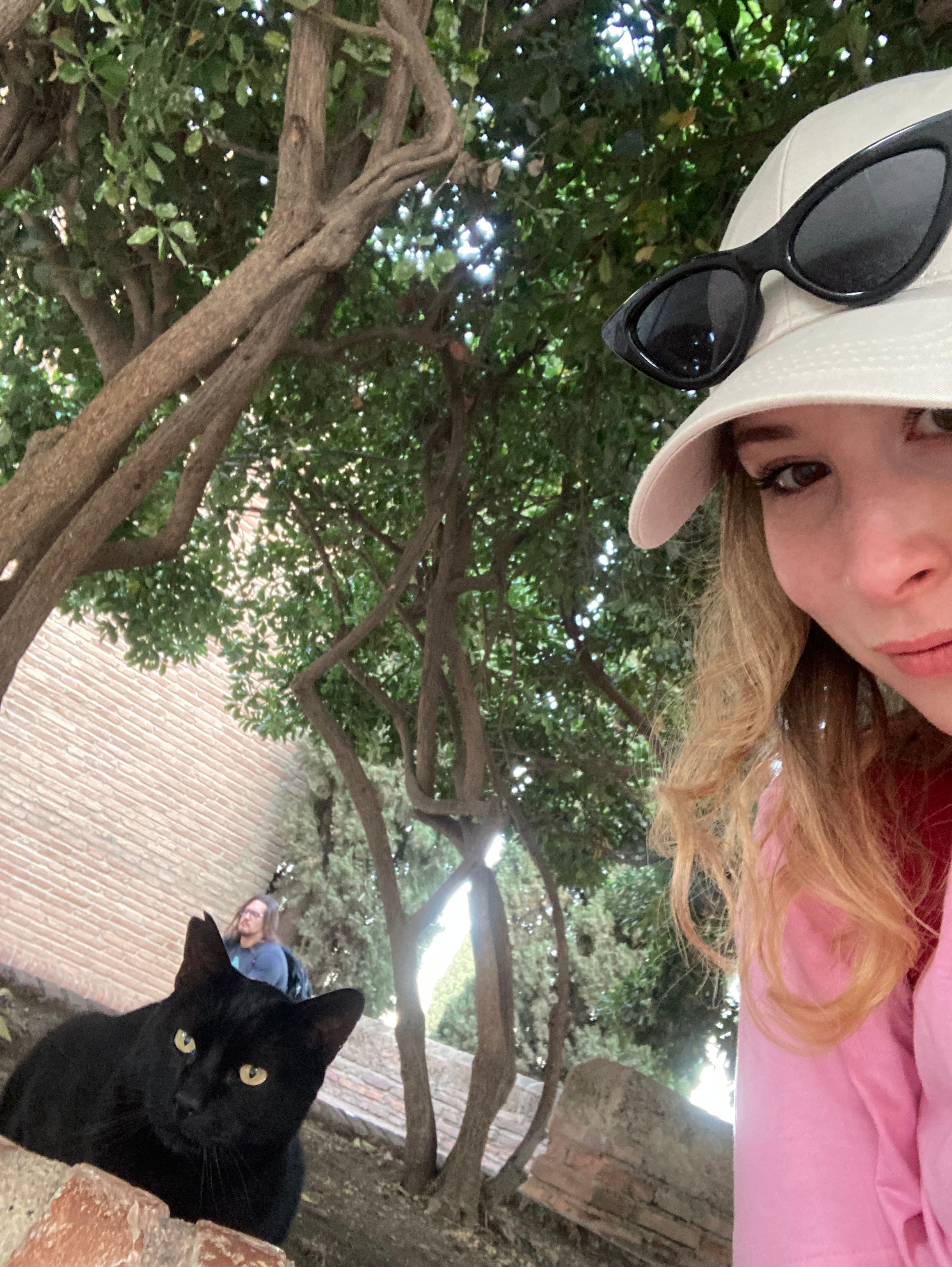 image-15