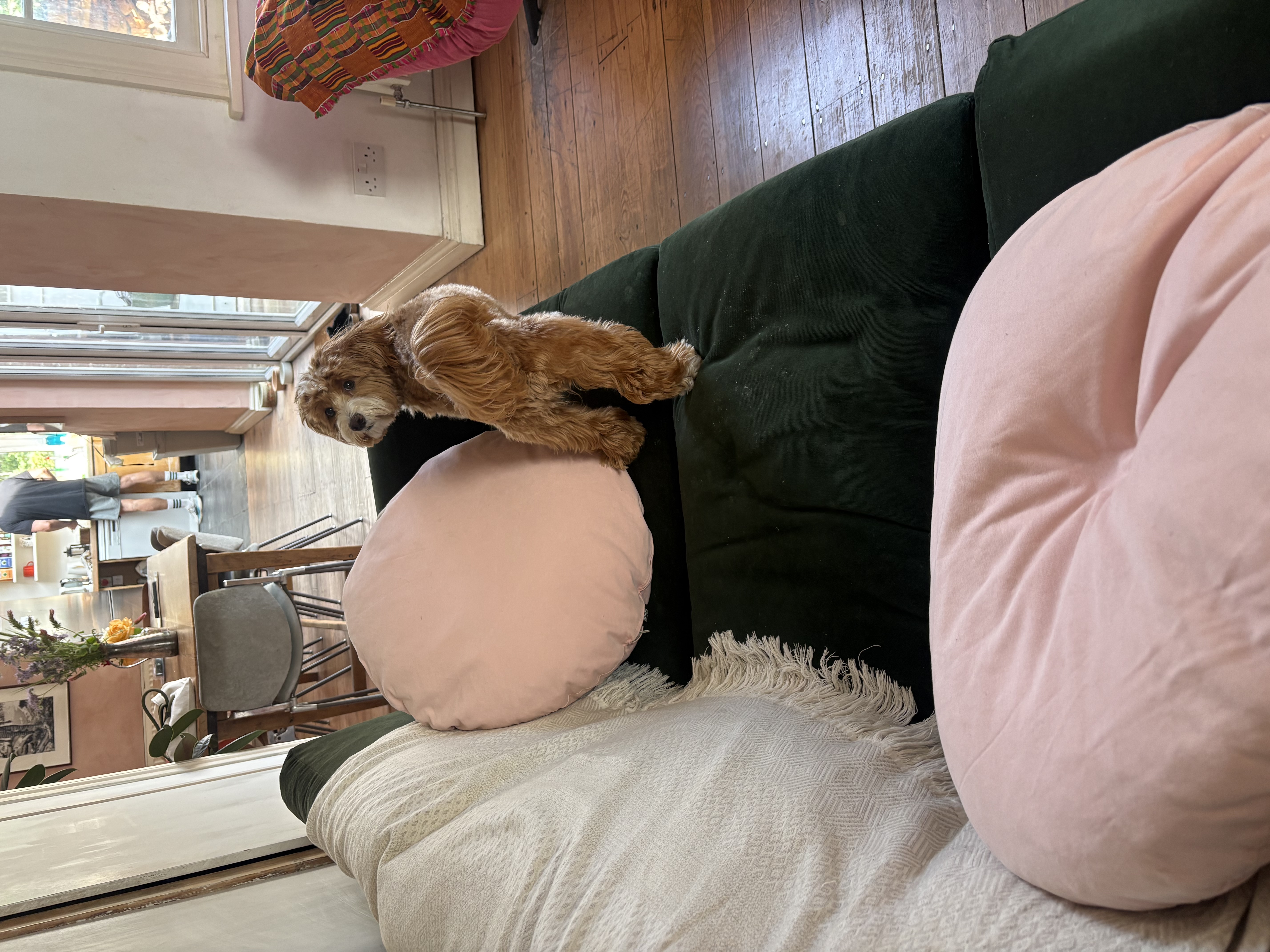 image-17