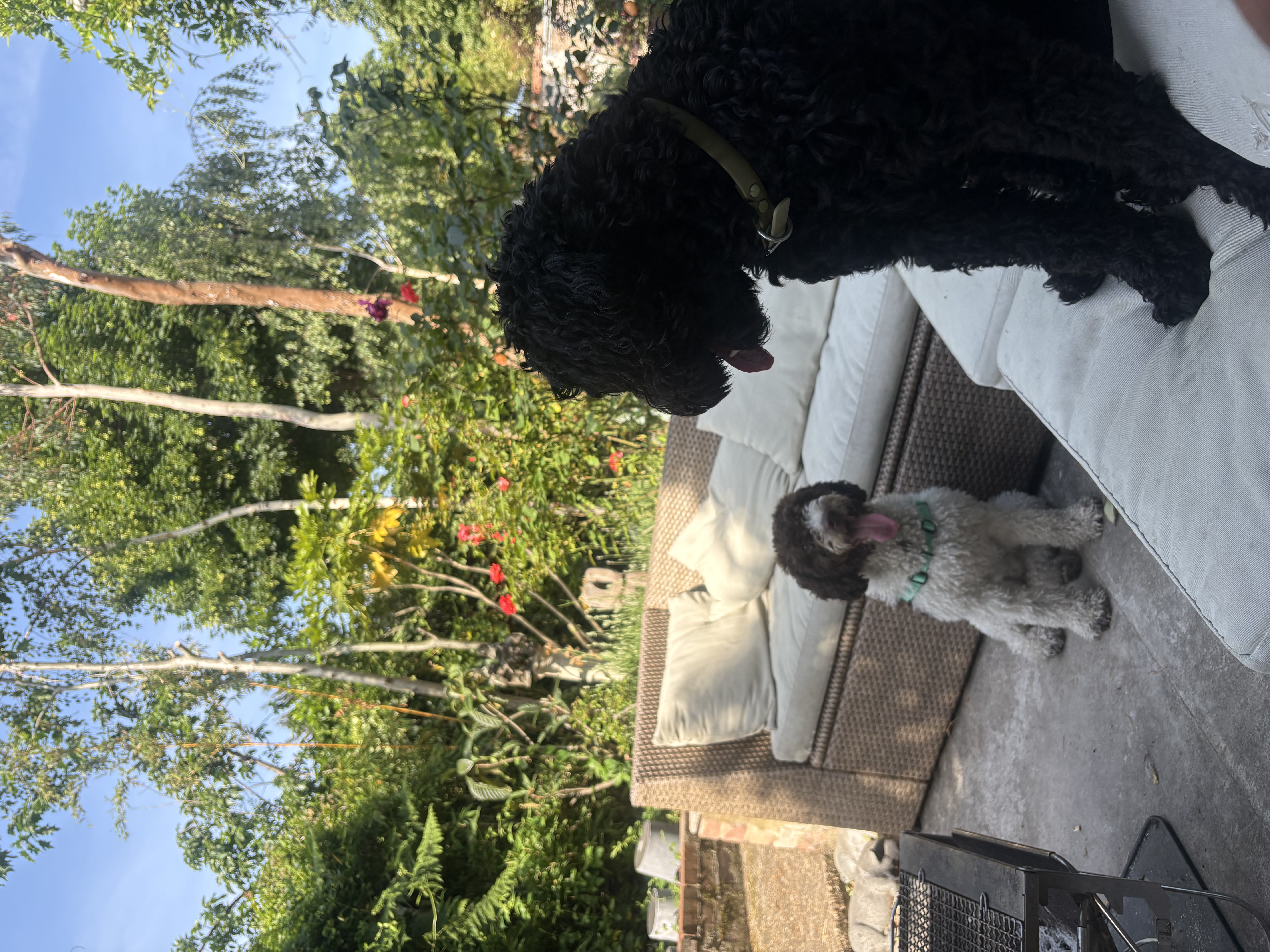 image-24