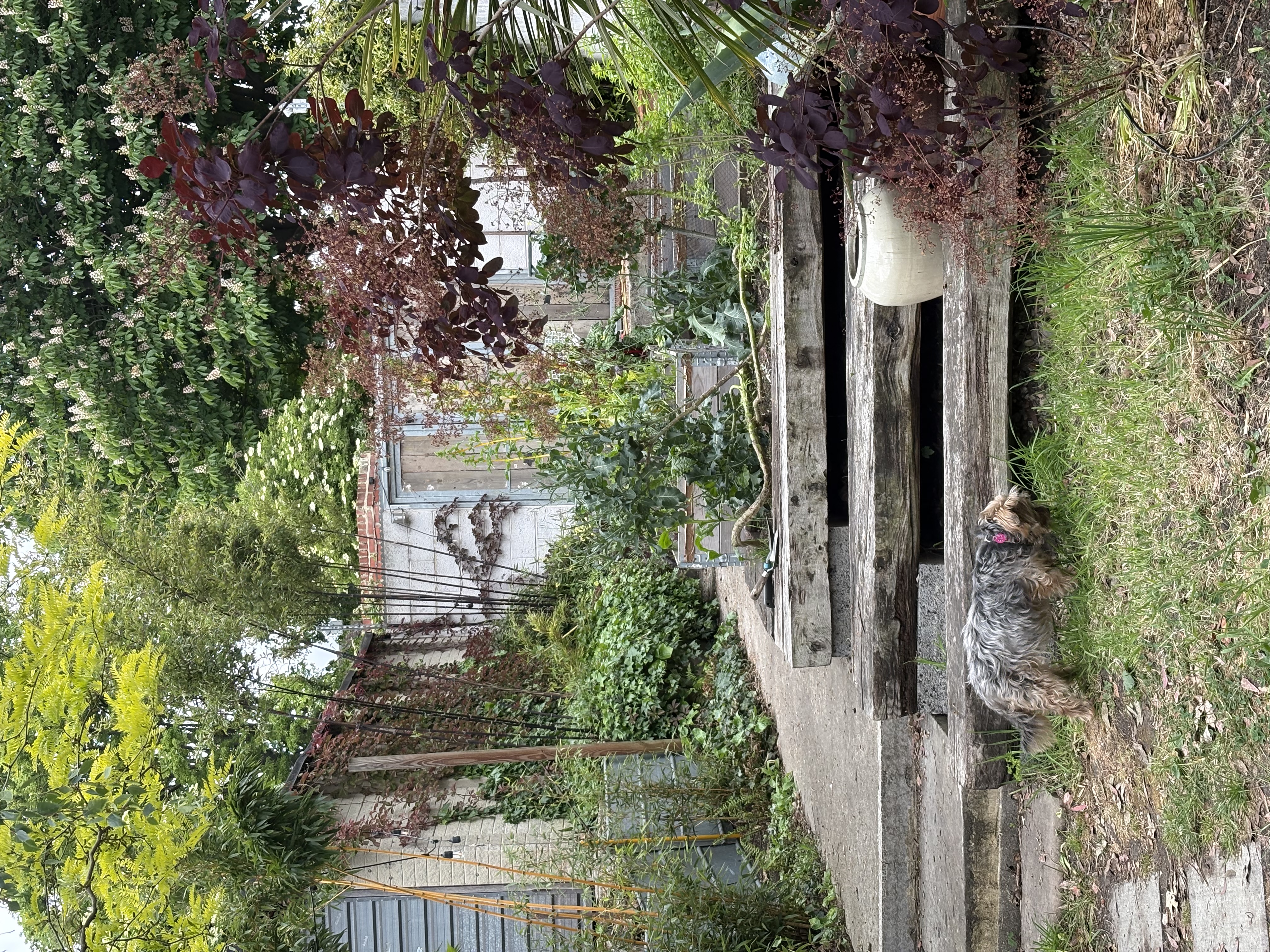 image-16