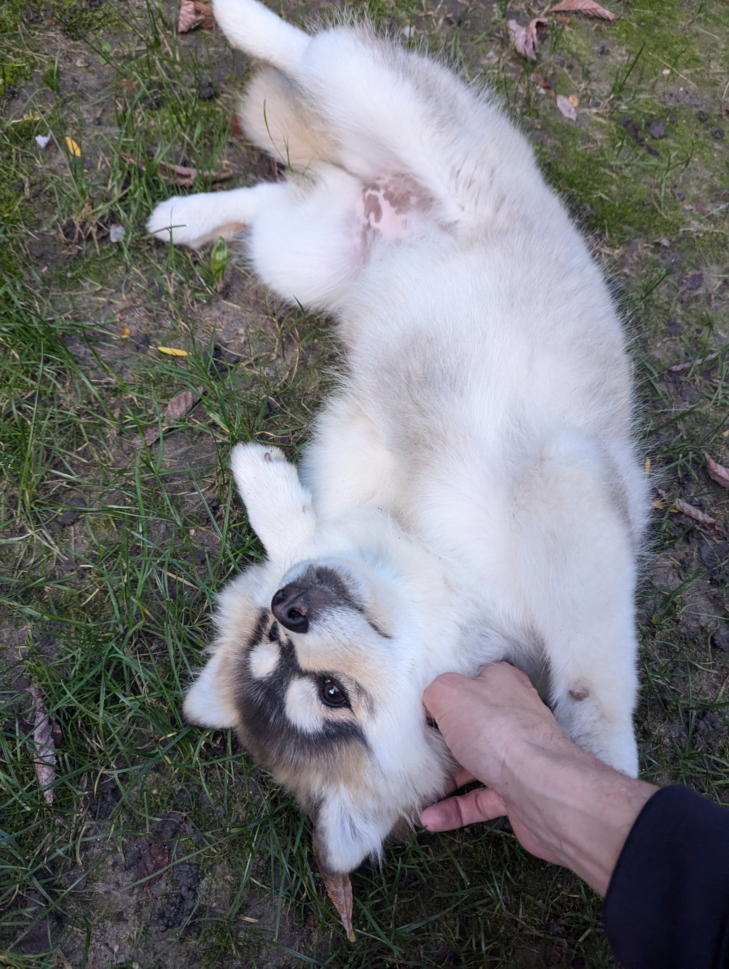 image-5