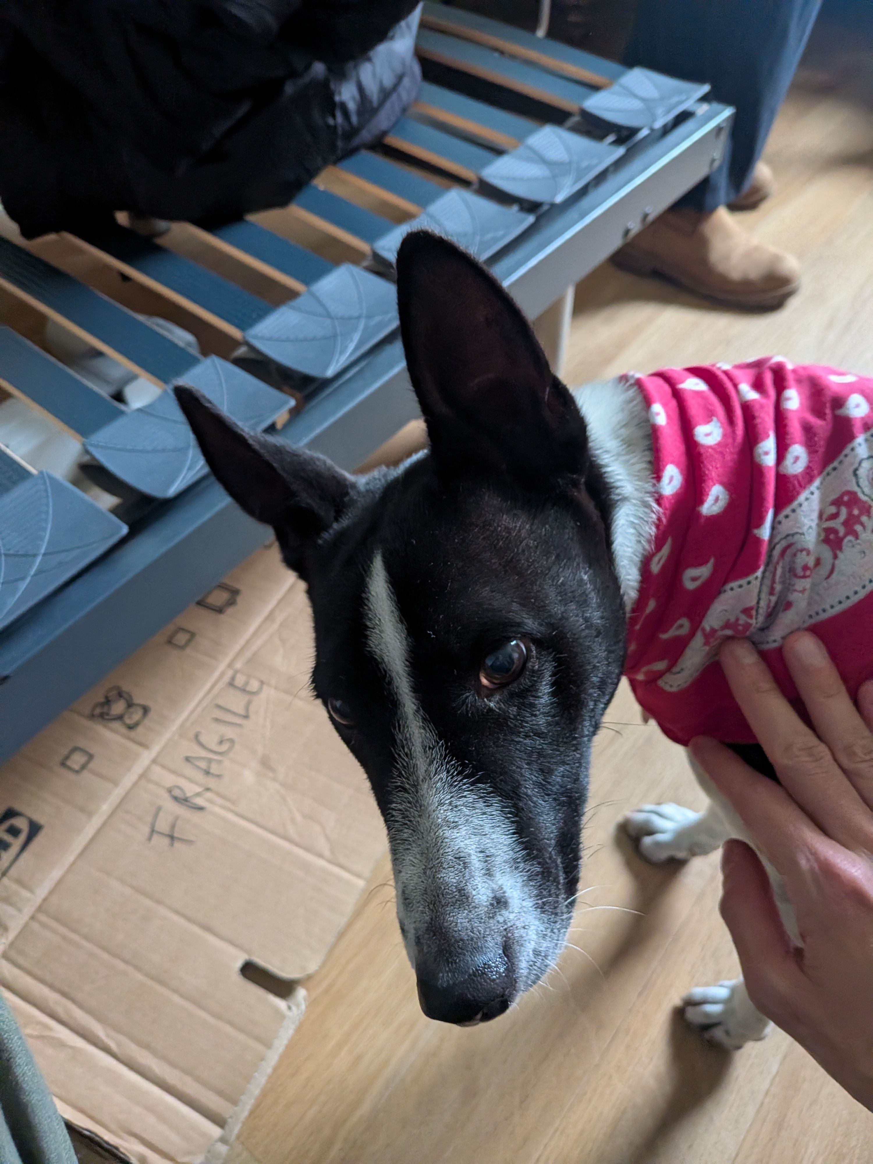 image-6