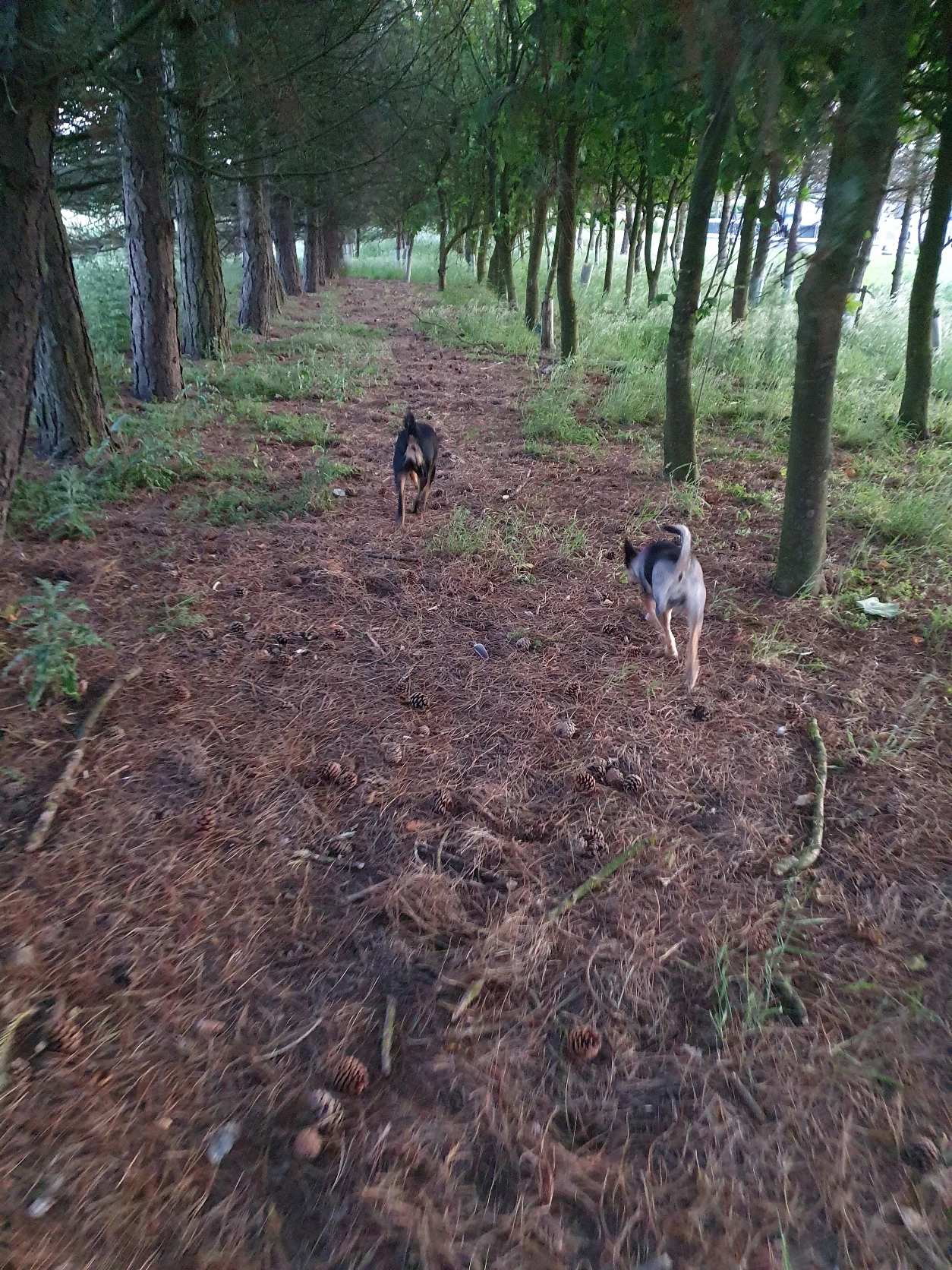 image-4