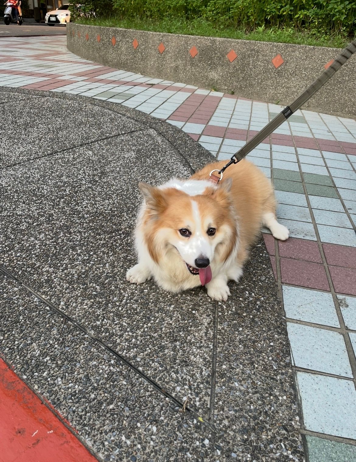 image-17
