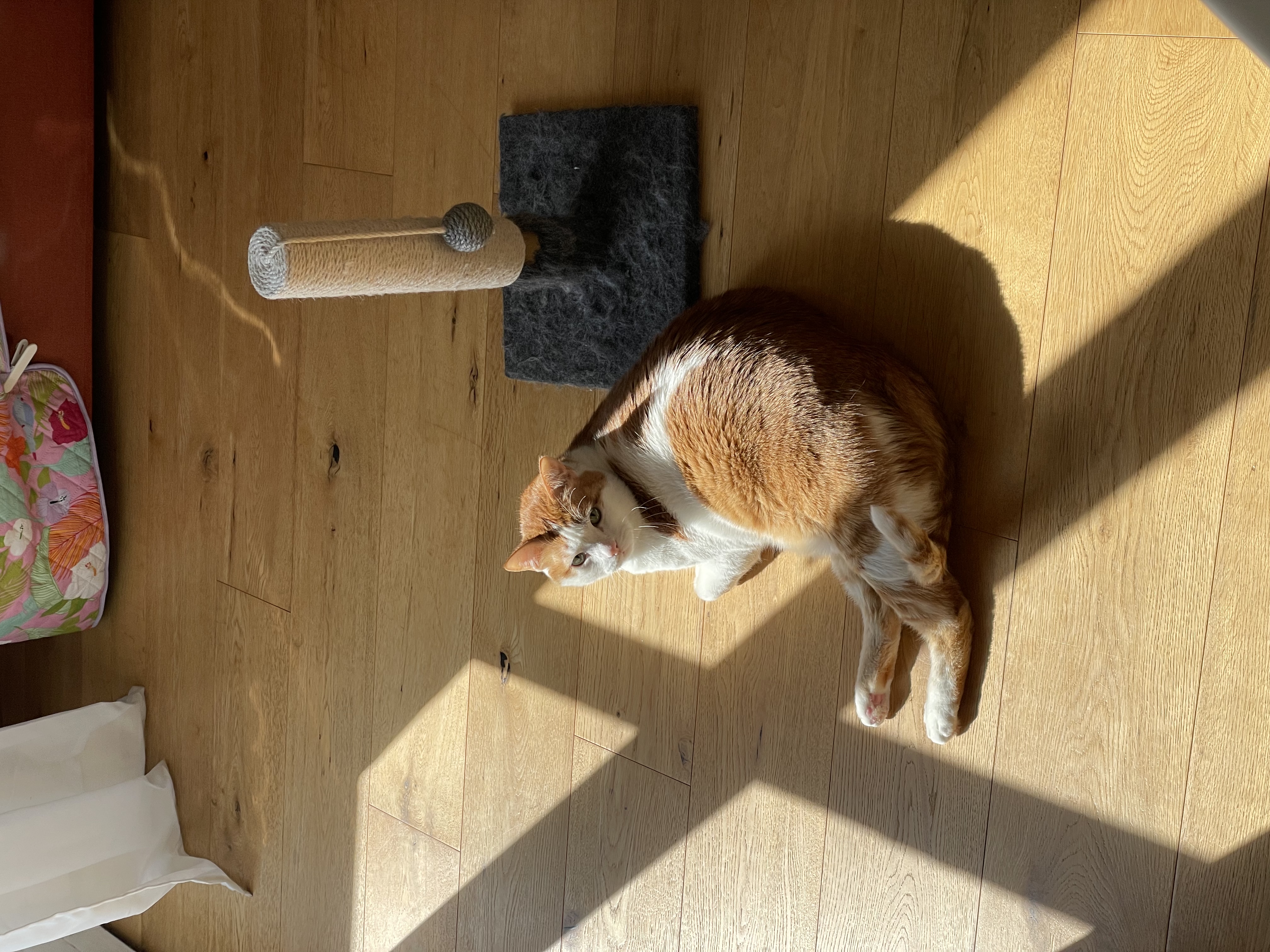 image-6