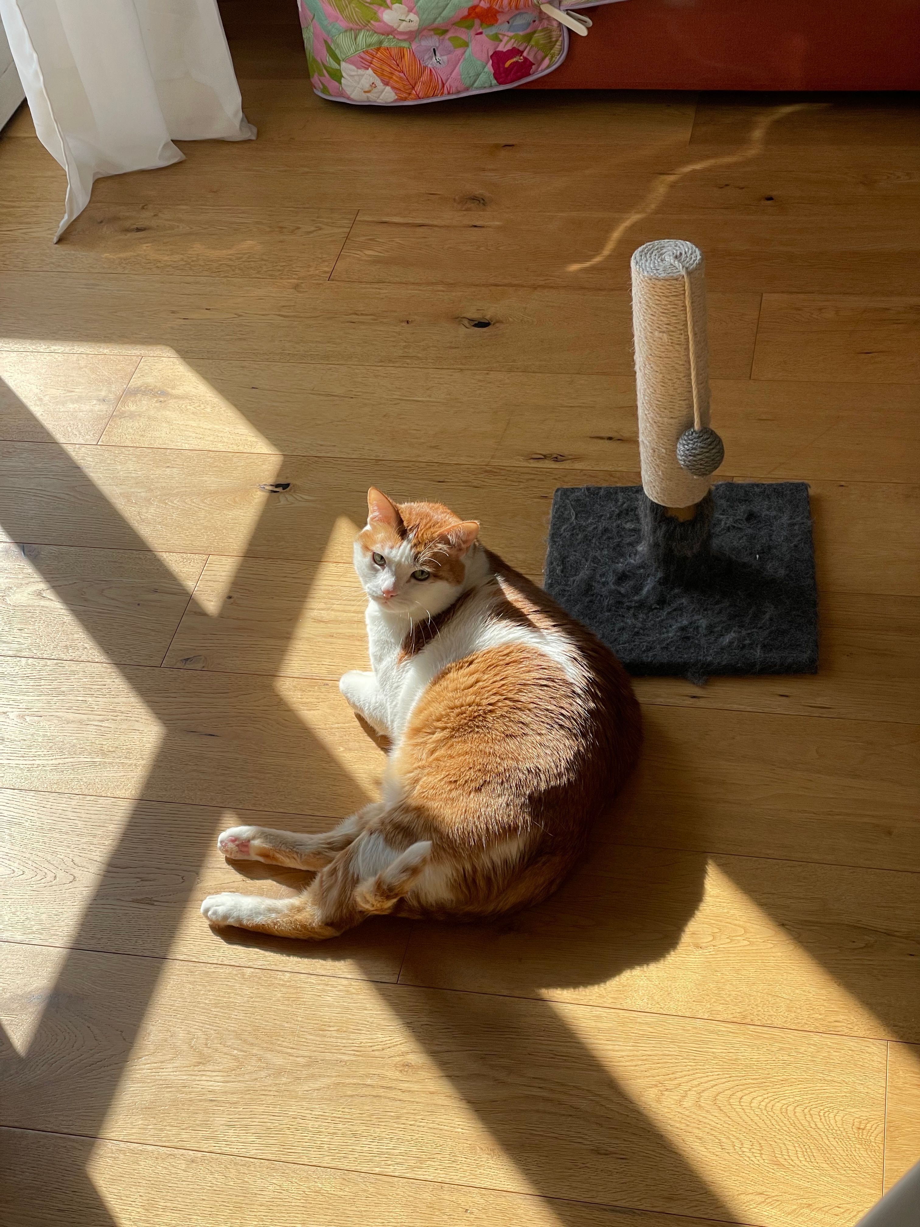 image-6