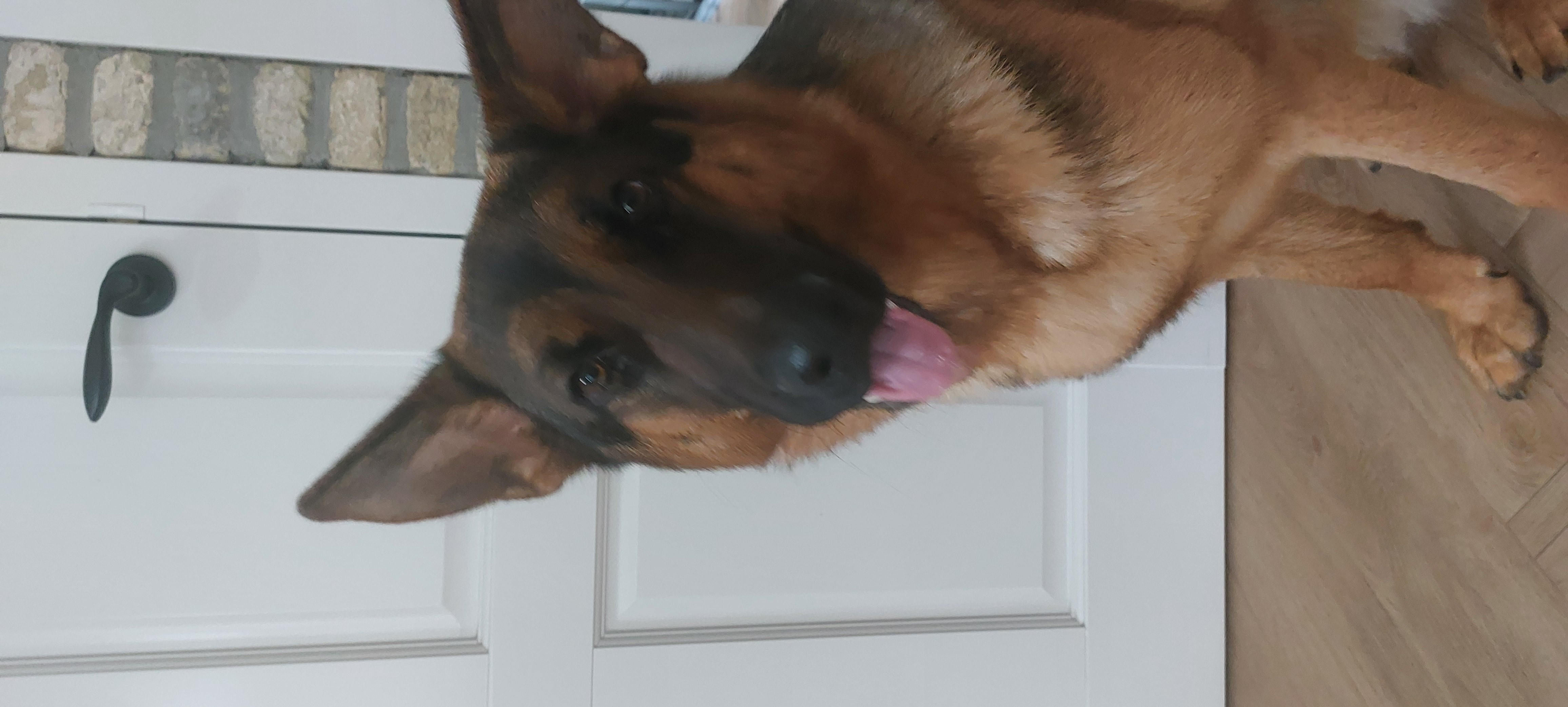 image-17
