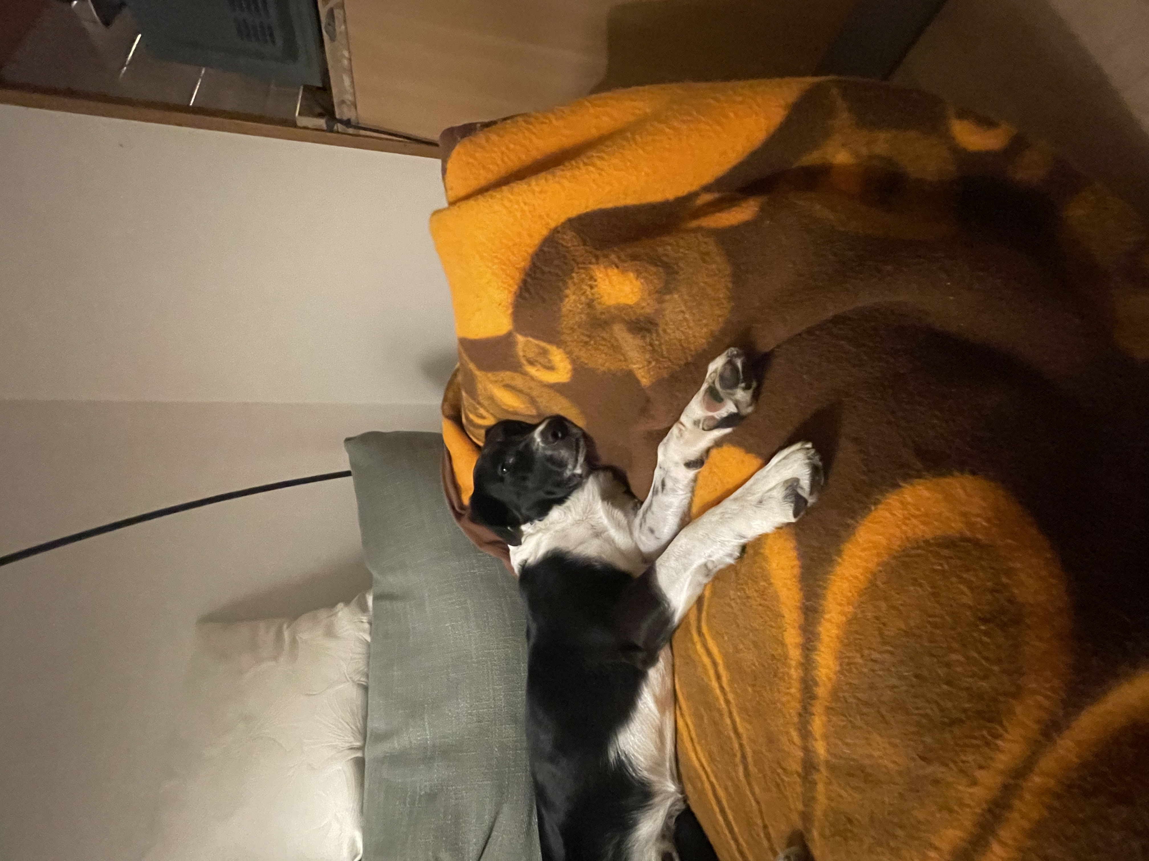 image-12