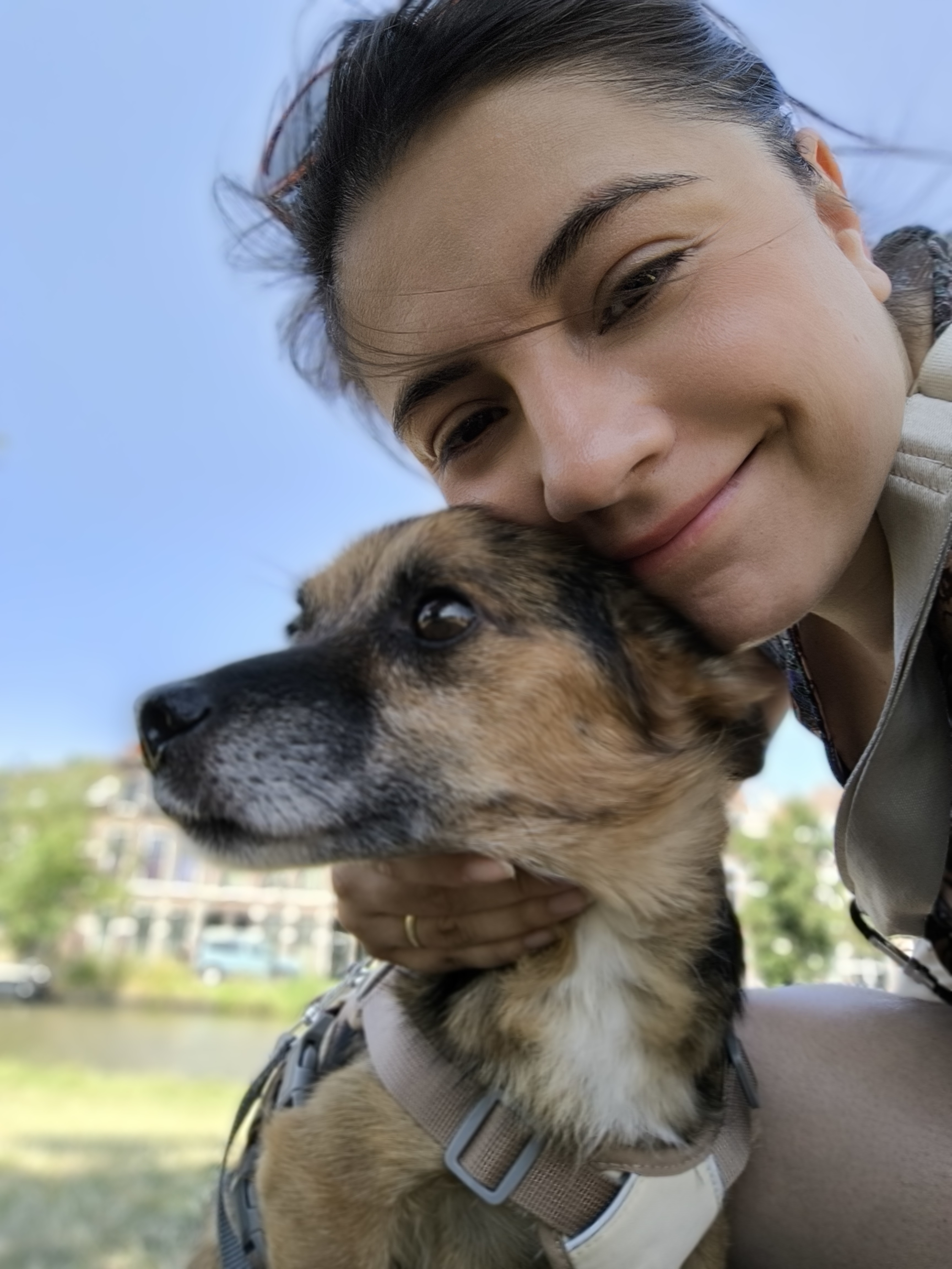 image-8