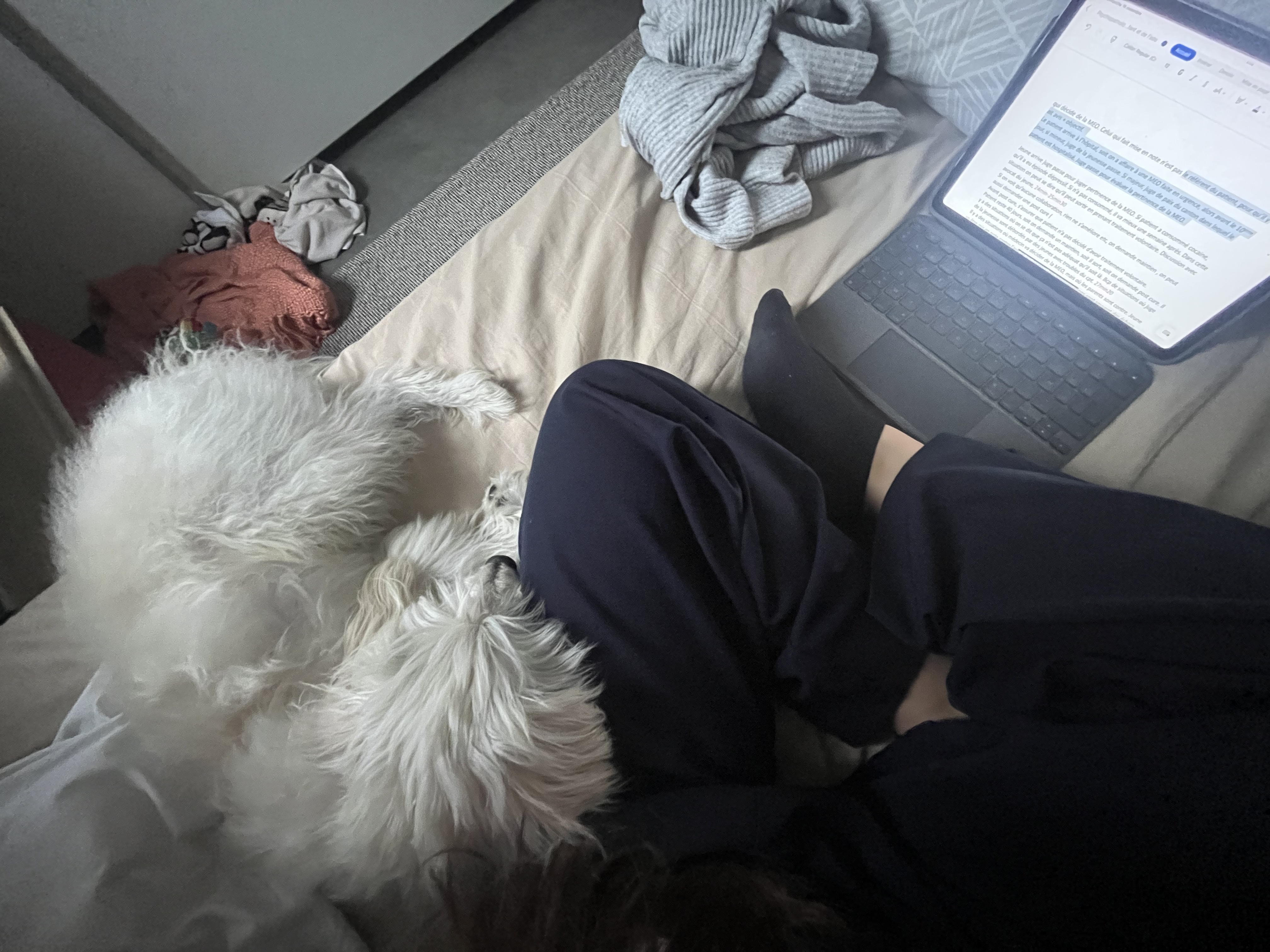 image-7