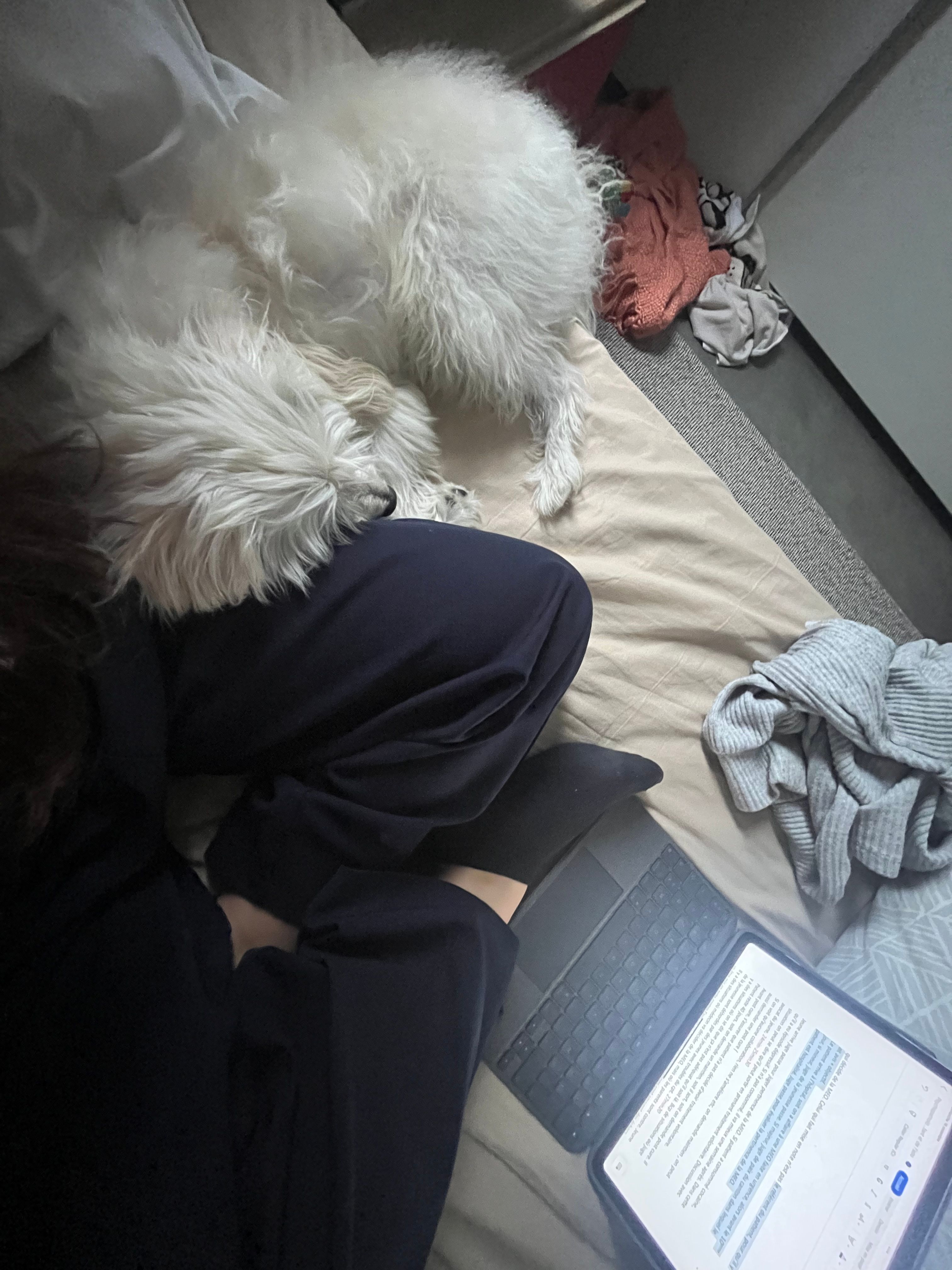 image-7