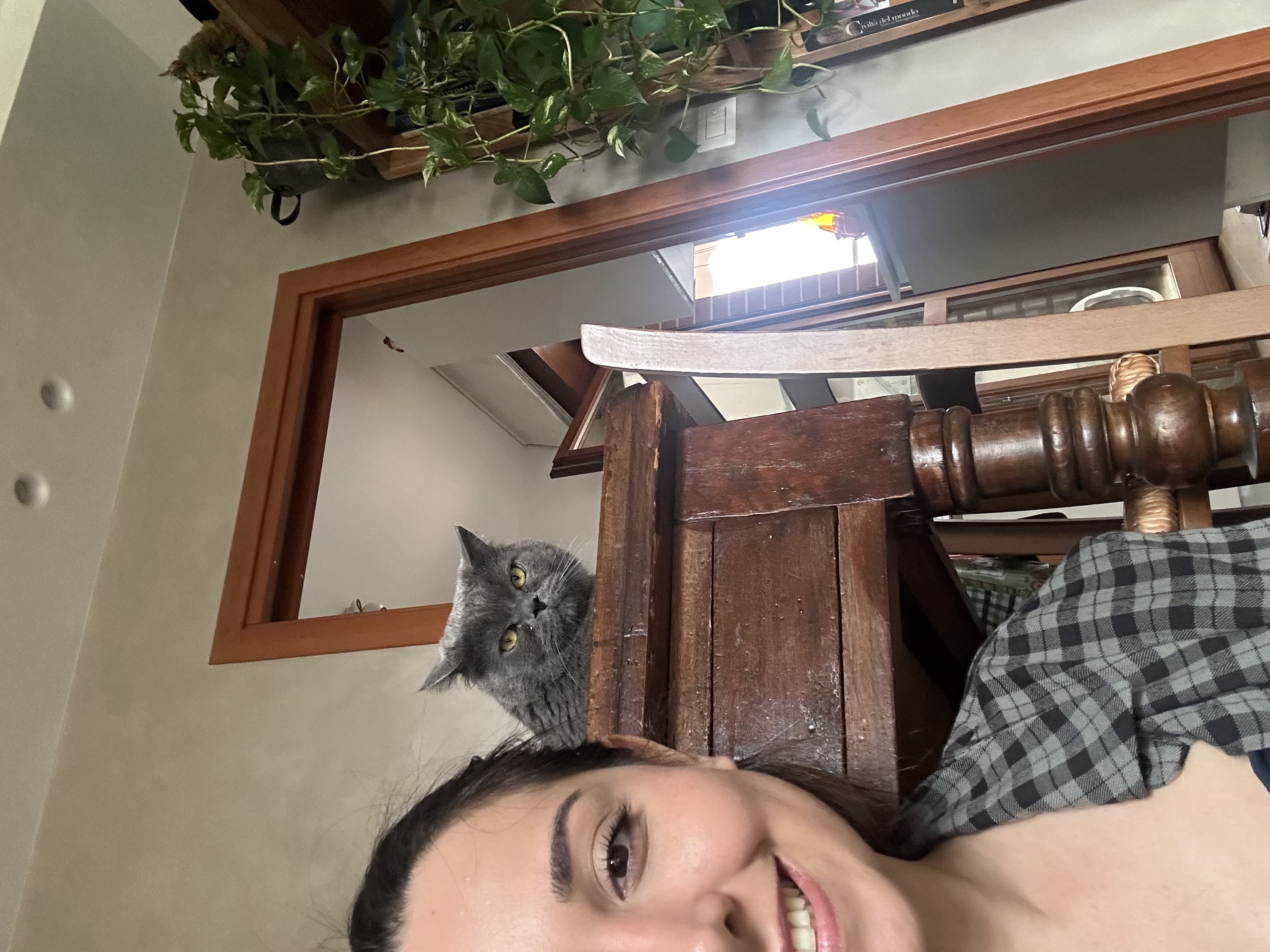 image-37
