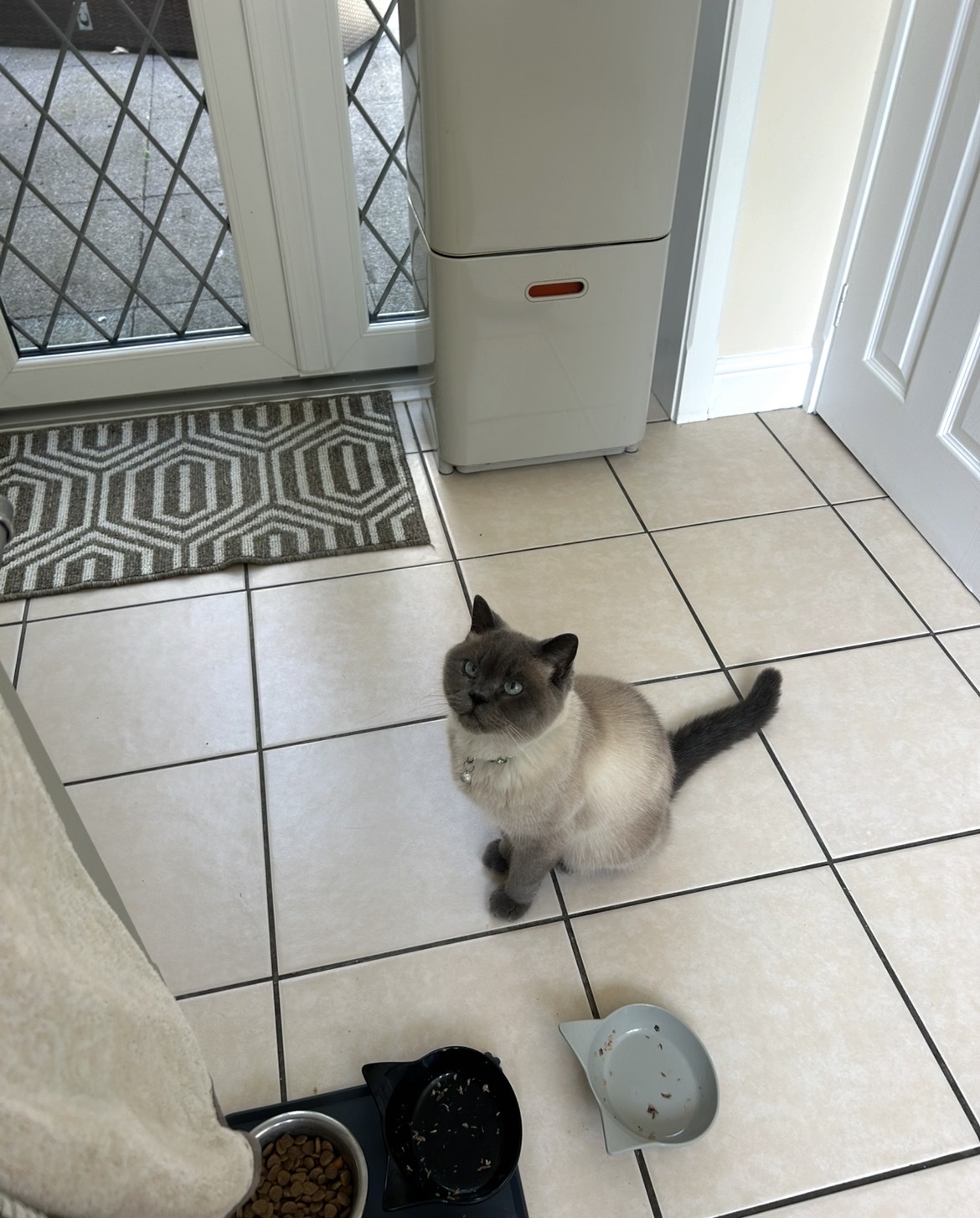 image-10