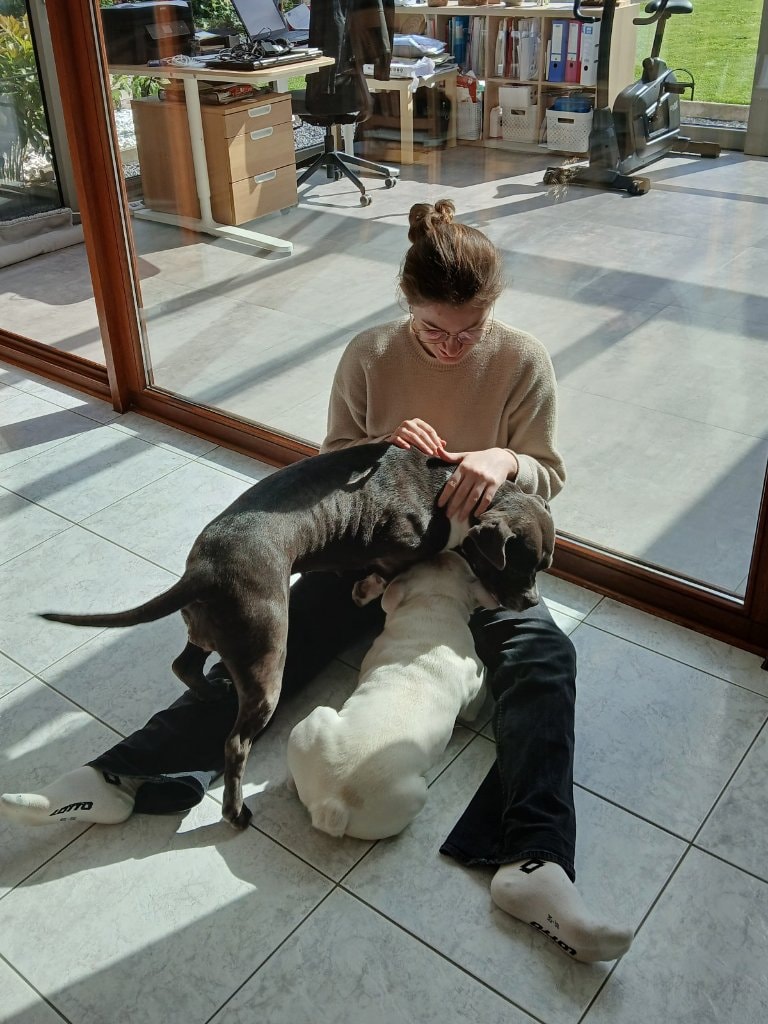 image-2
