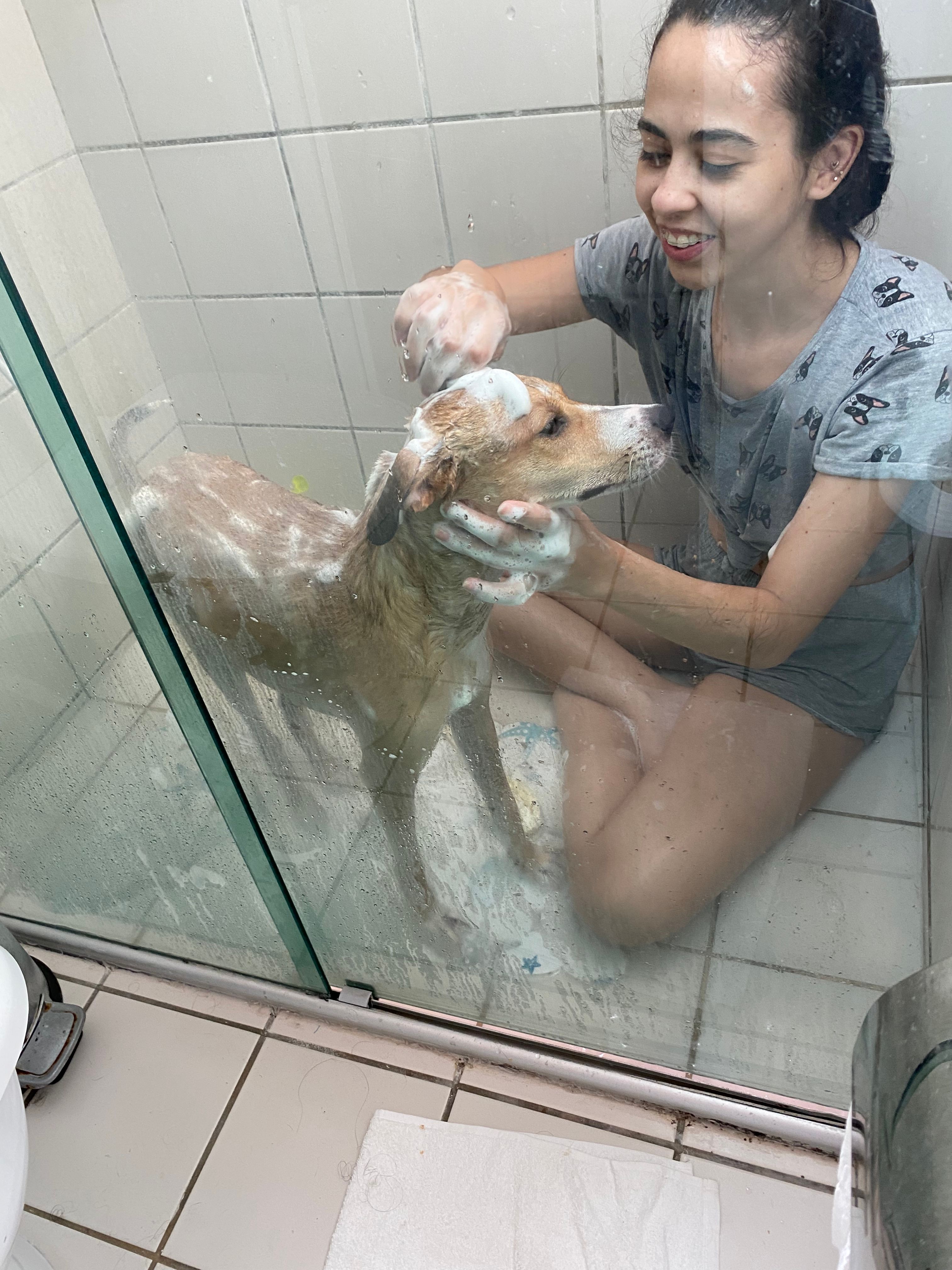 image-14