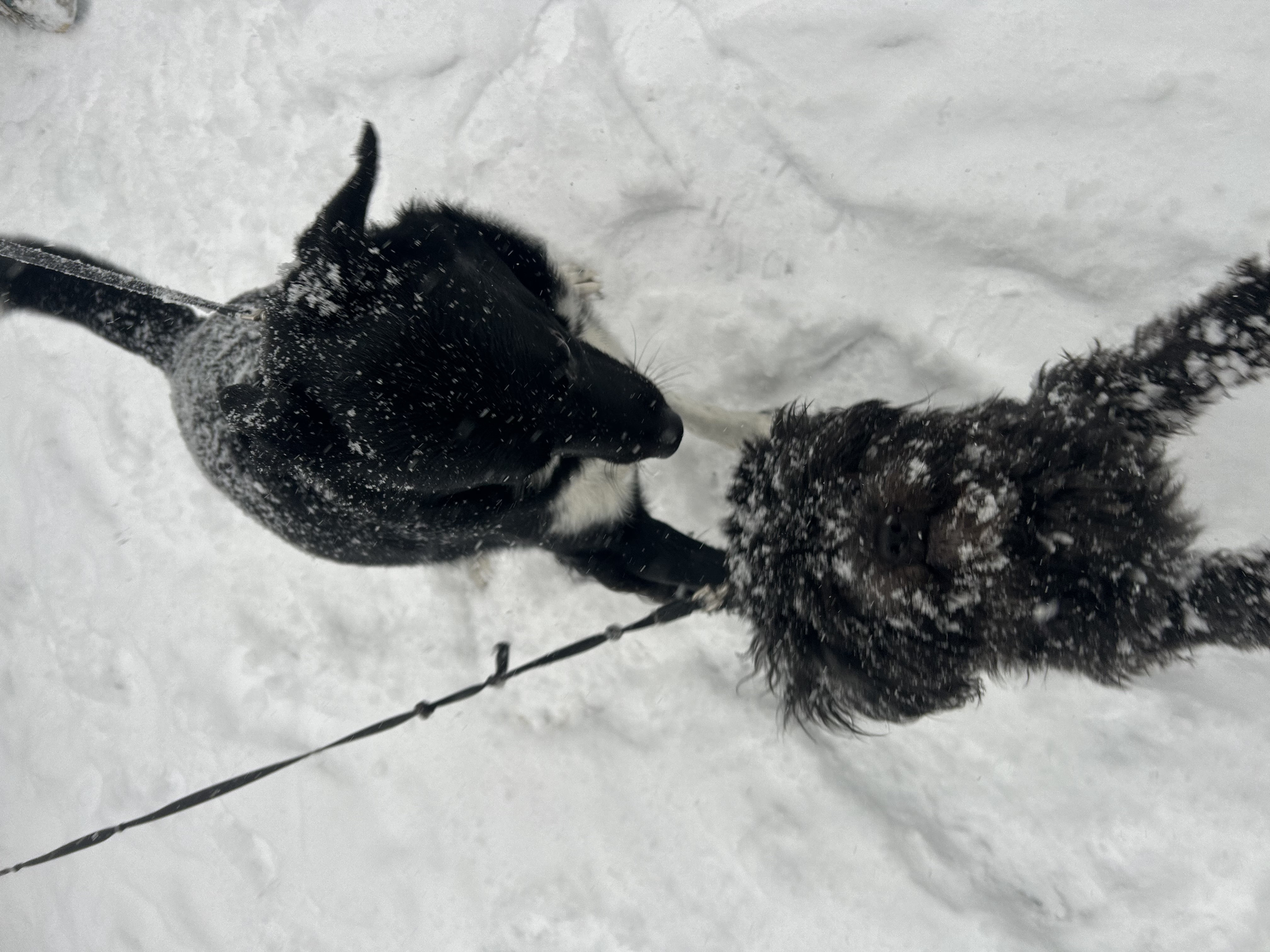 image-6