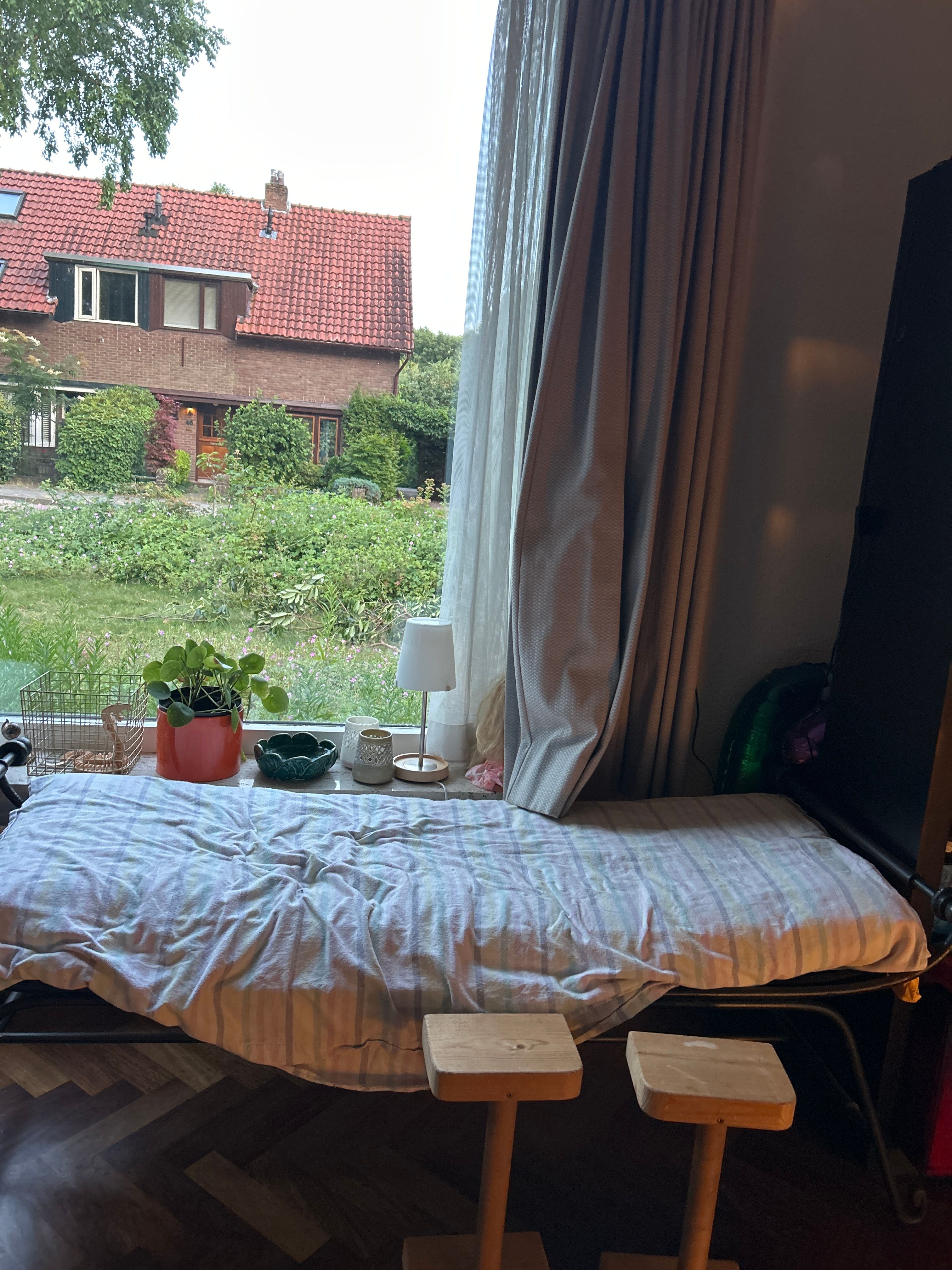 image-11