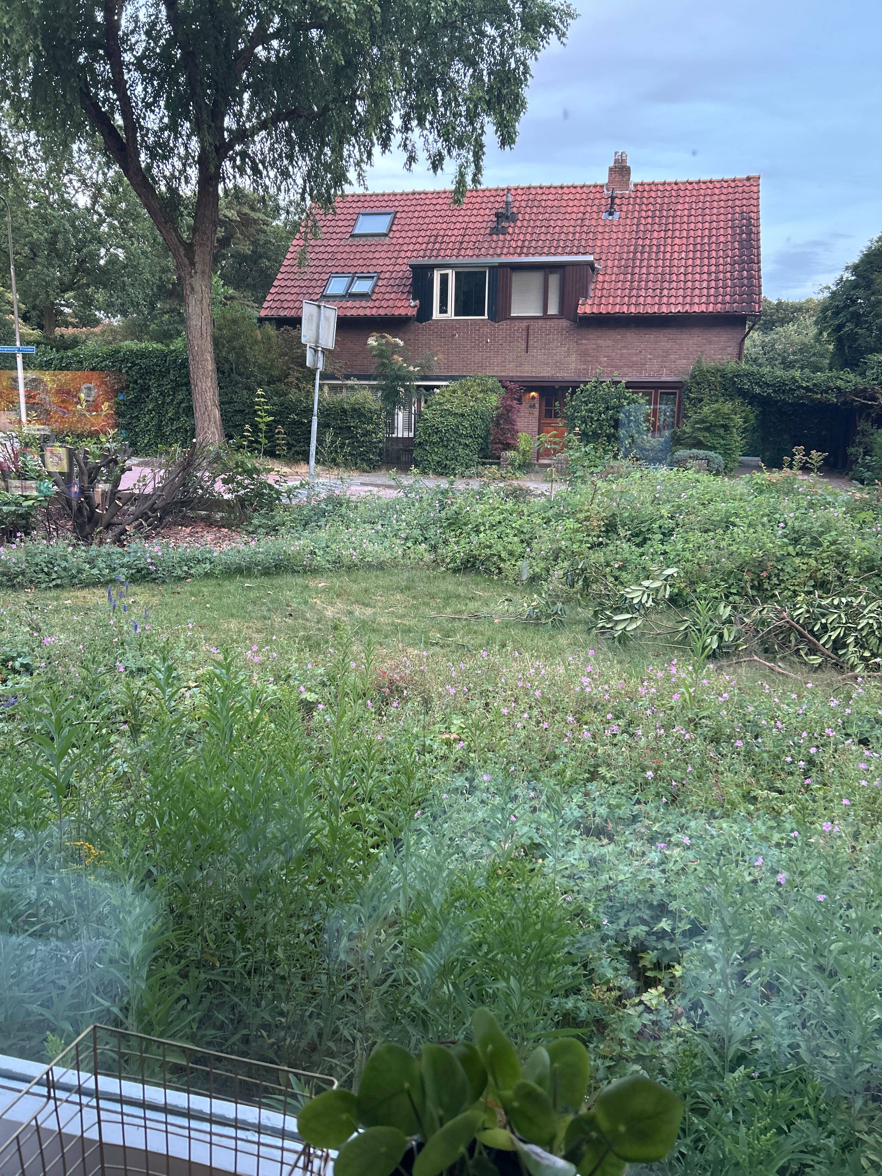 image-15