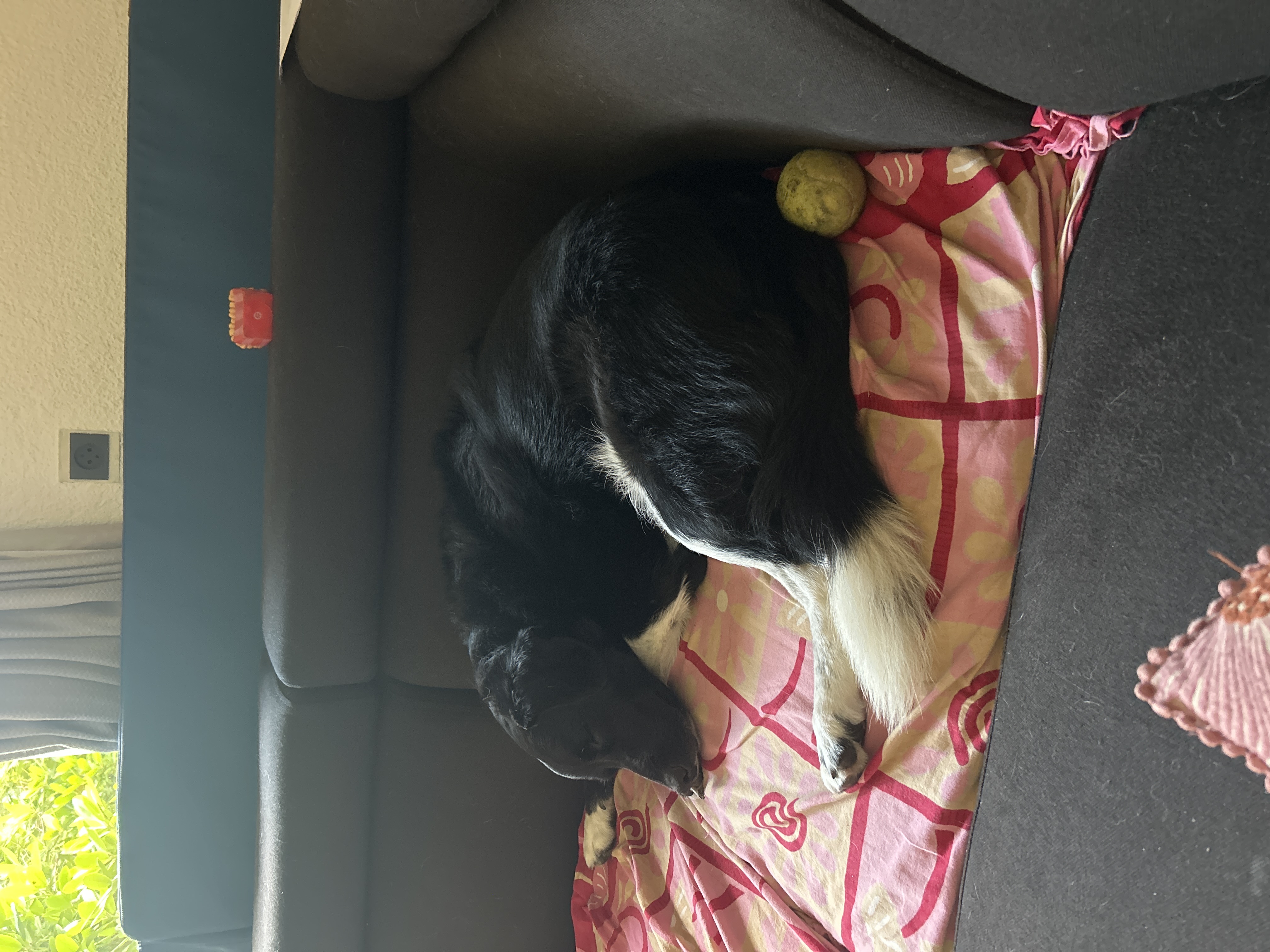 image-8