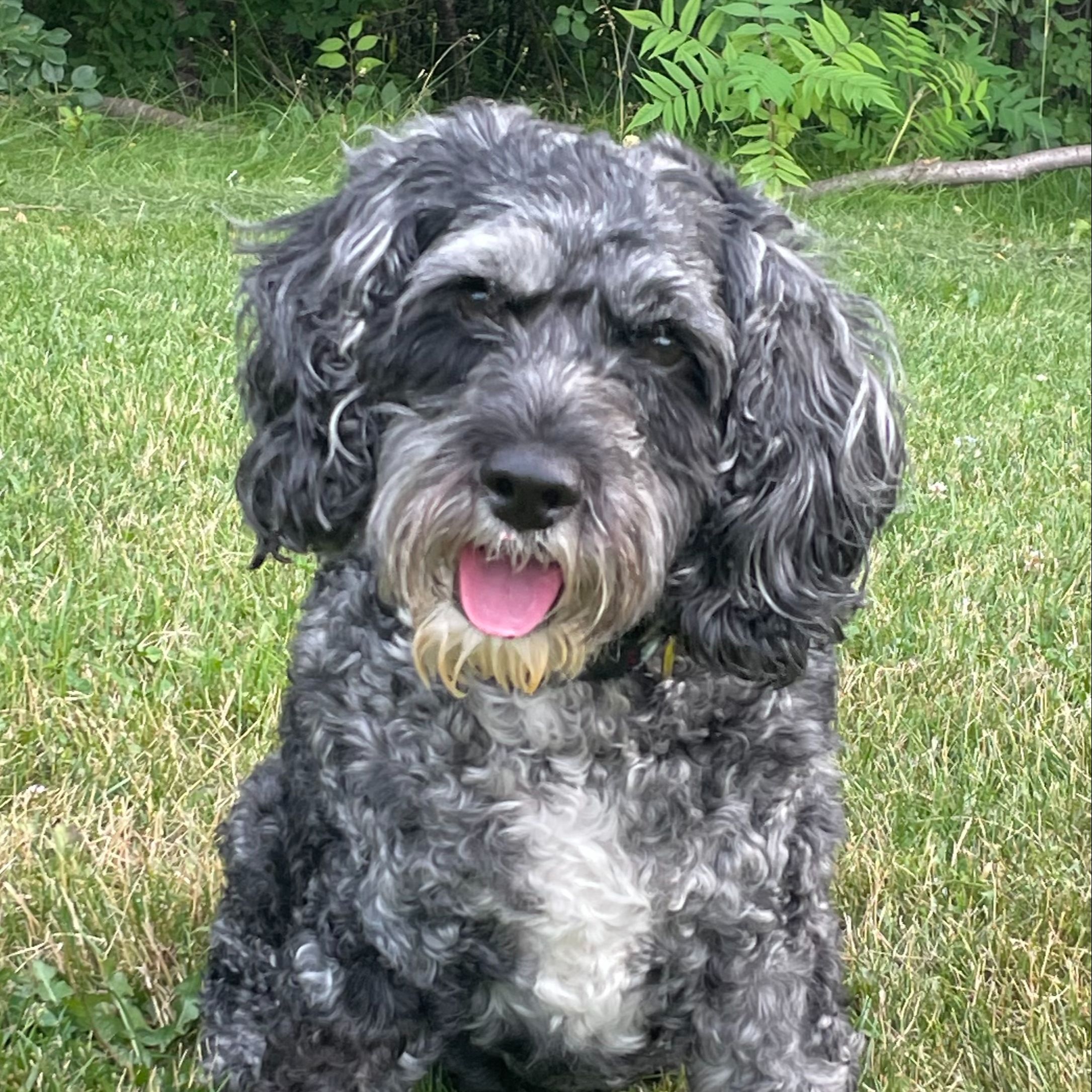 George