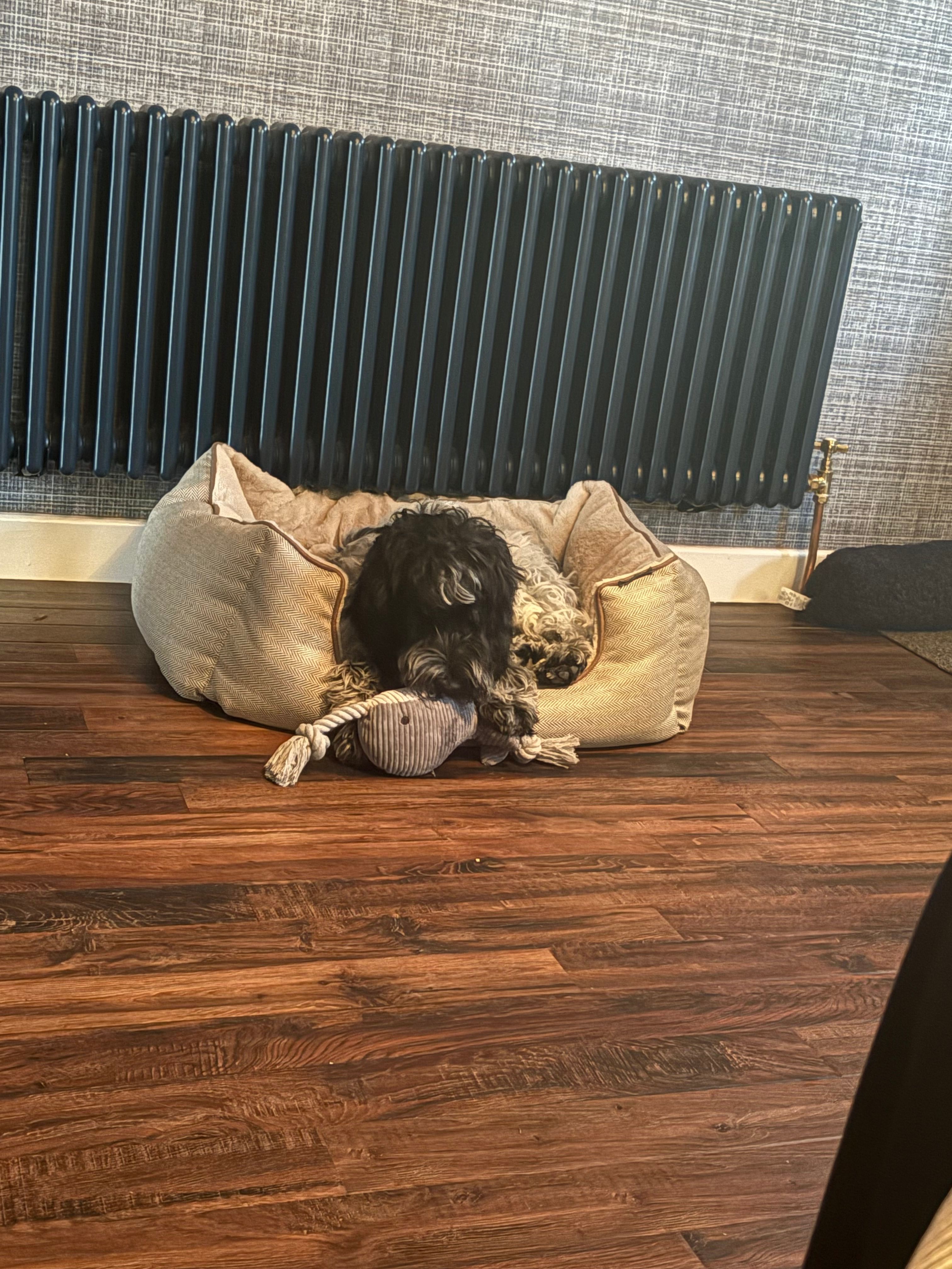 image-12