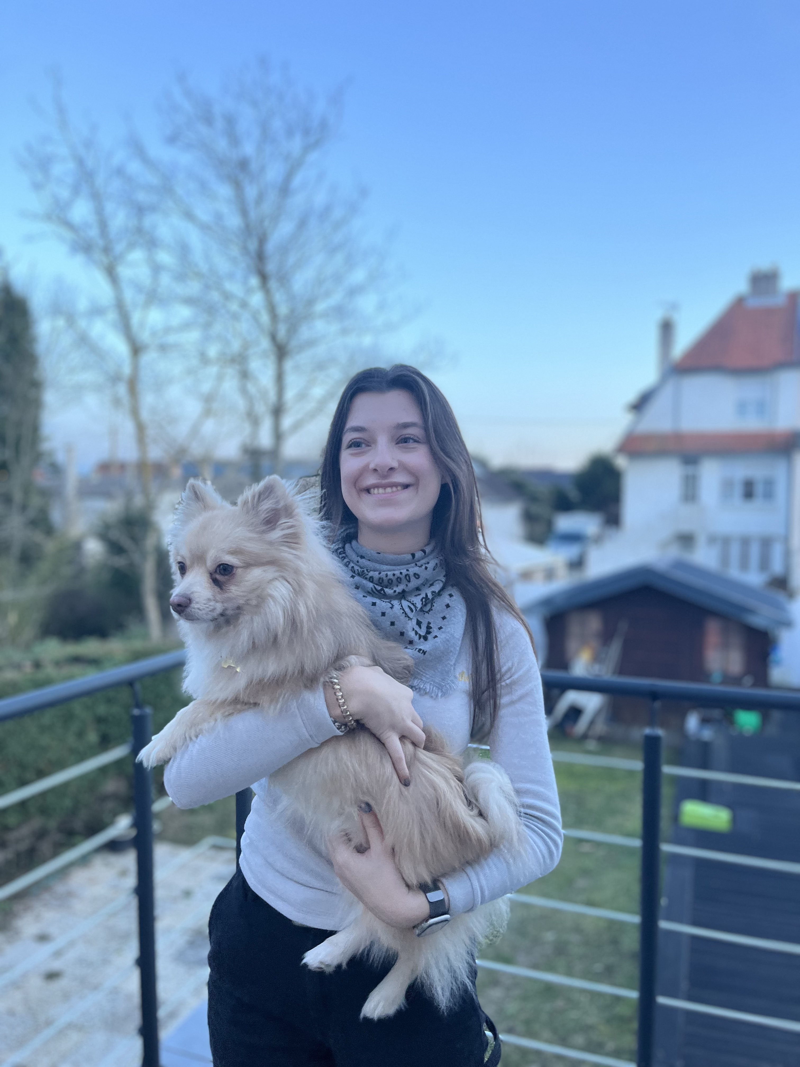 image-6