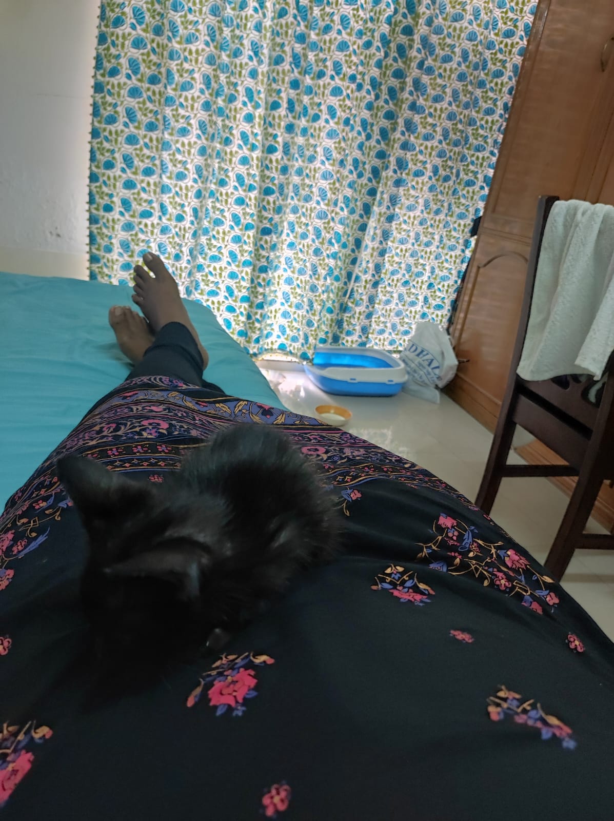 image-9
