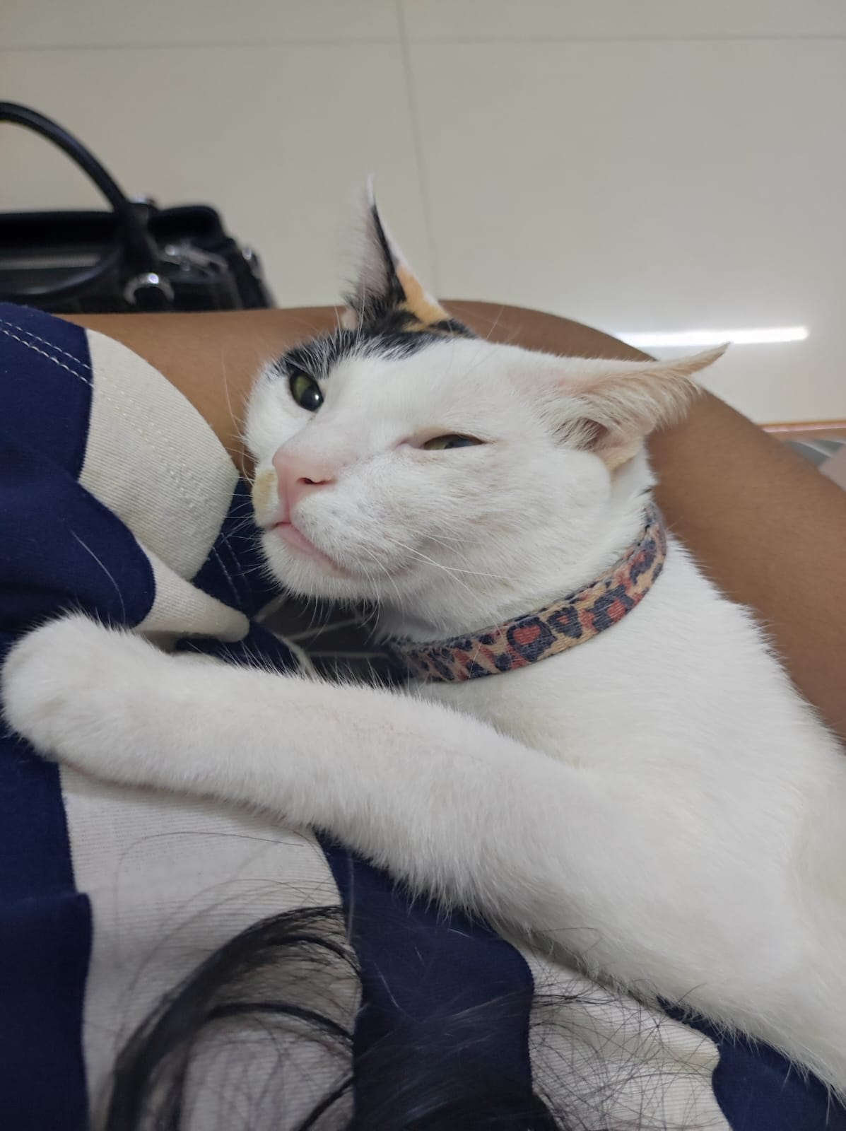 image-7