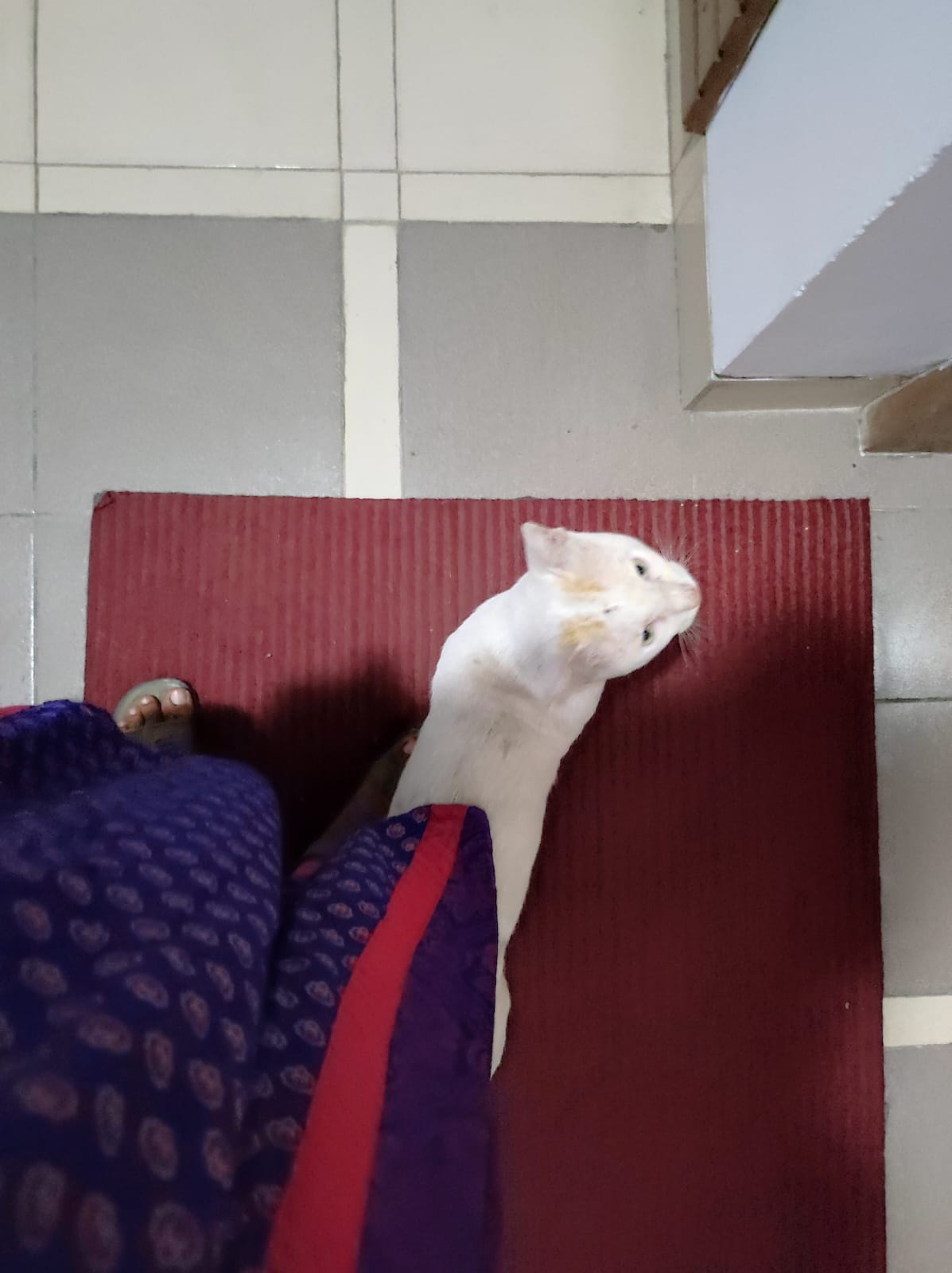 image-6