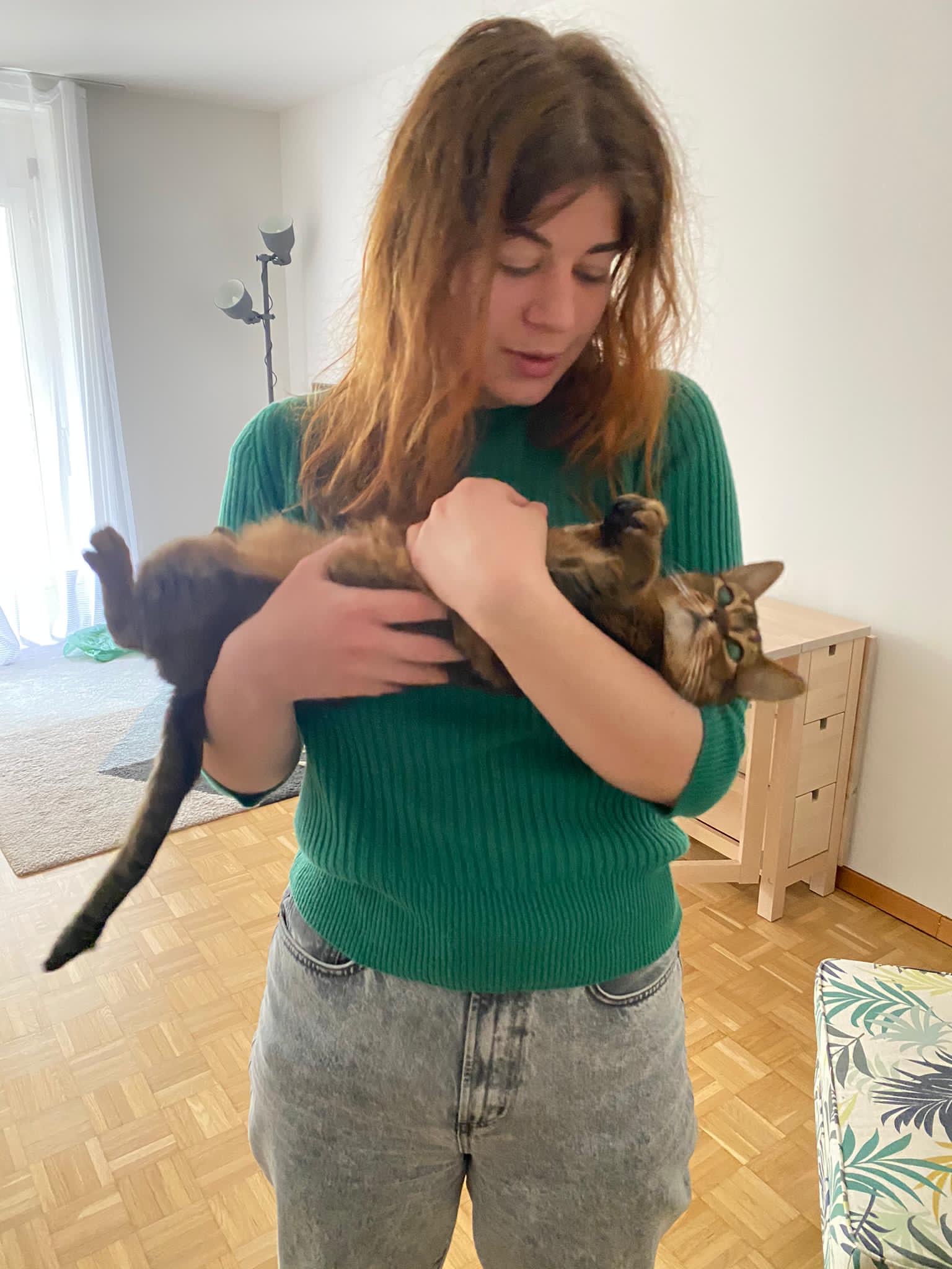 image-12