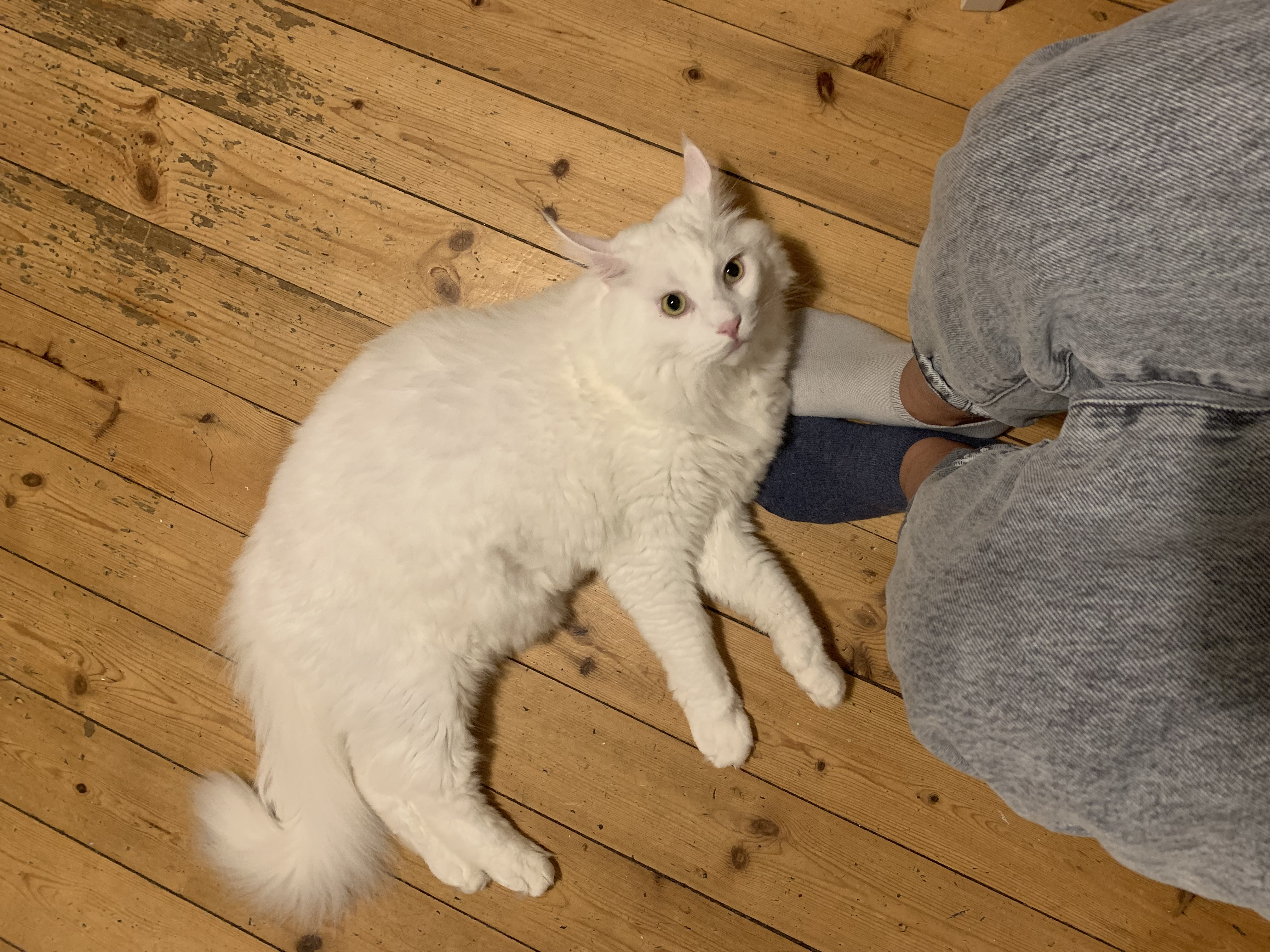 image-10