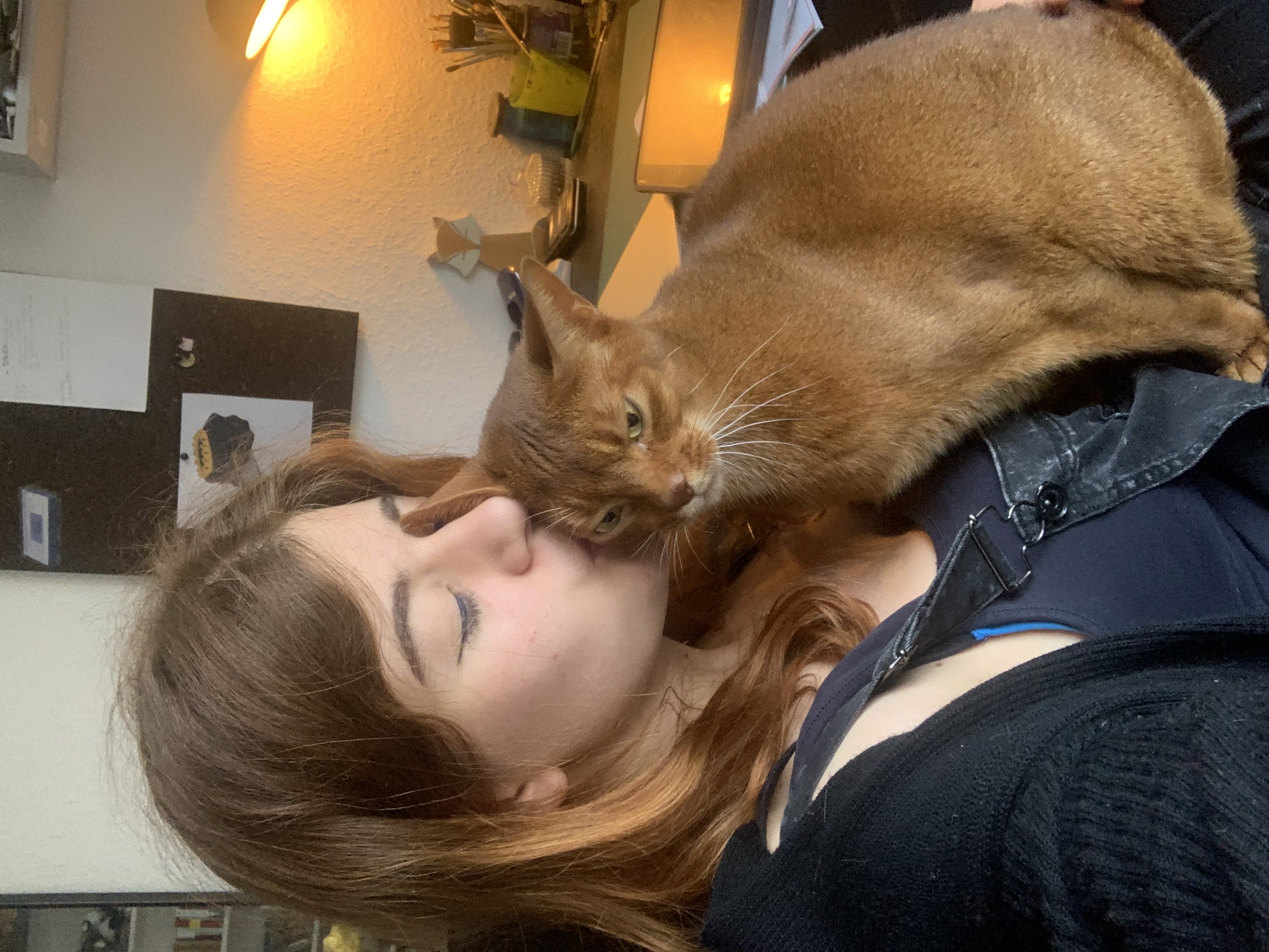 image-6