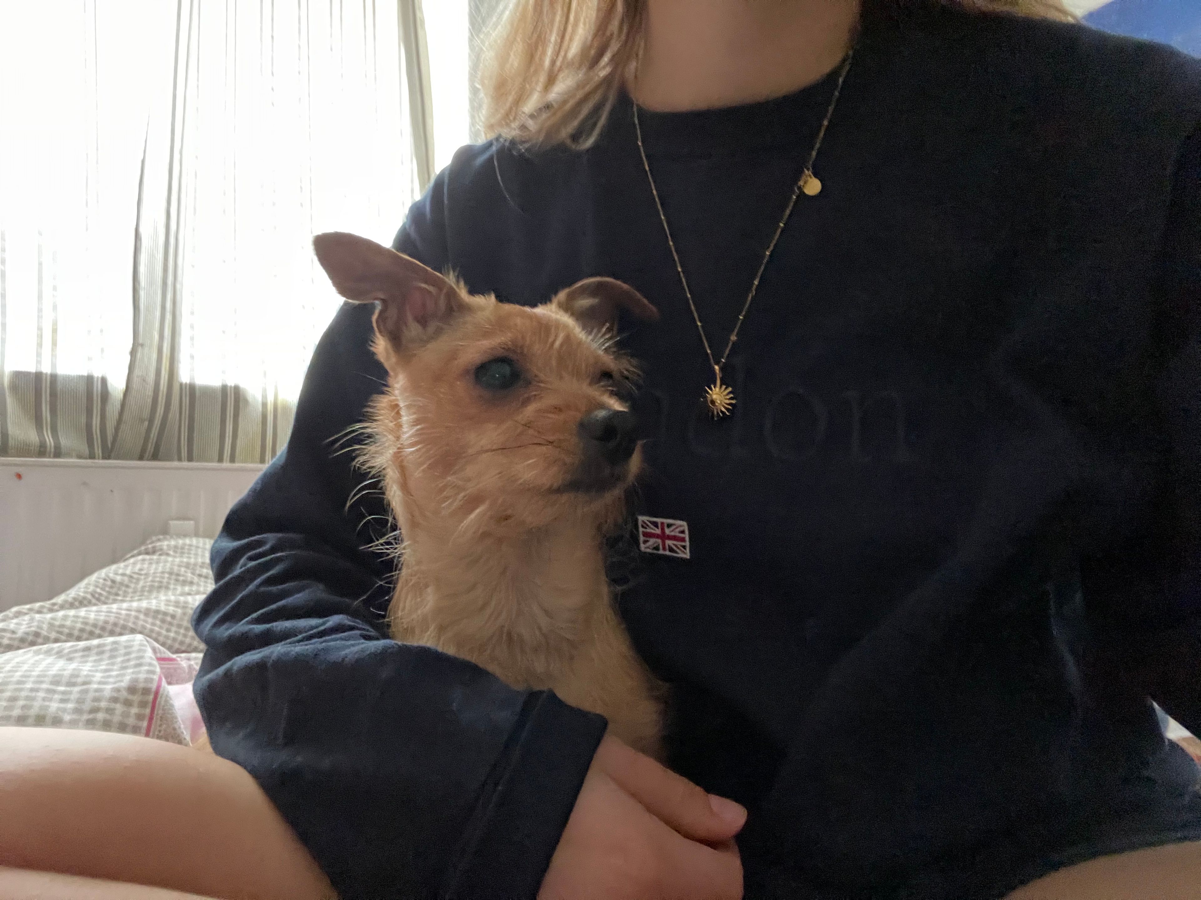 image-6