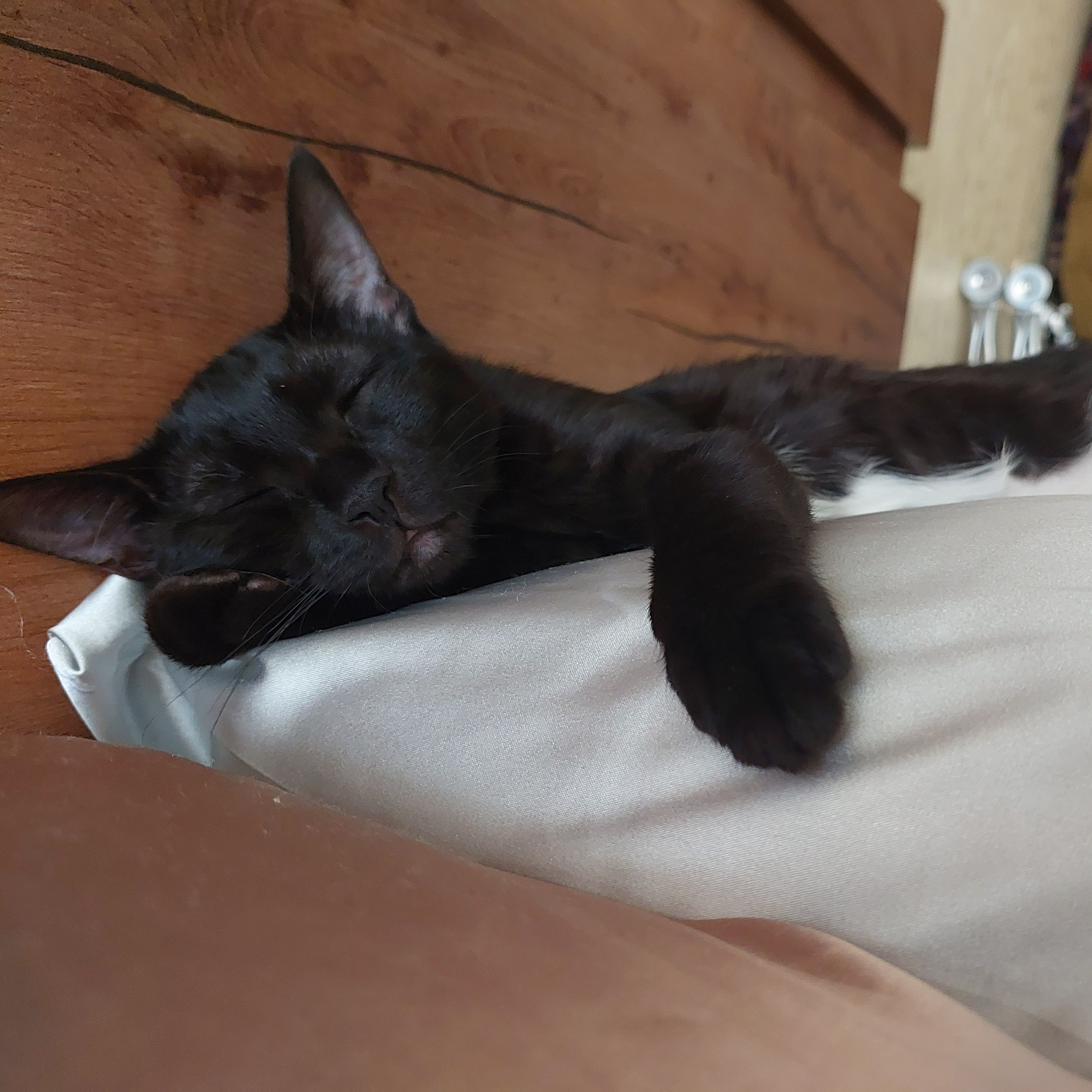 Sumi