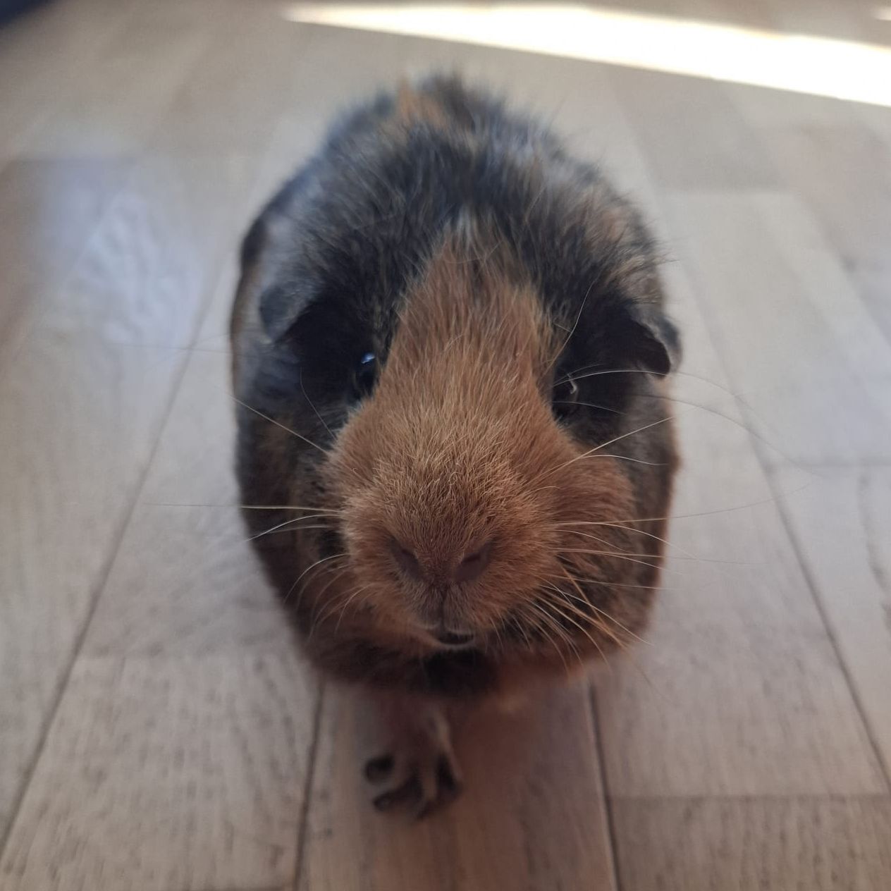 George