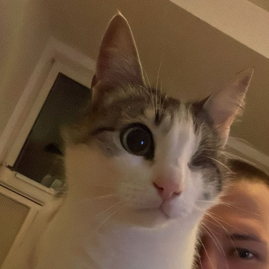 Lilly