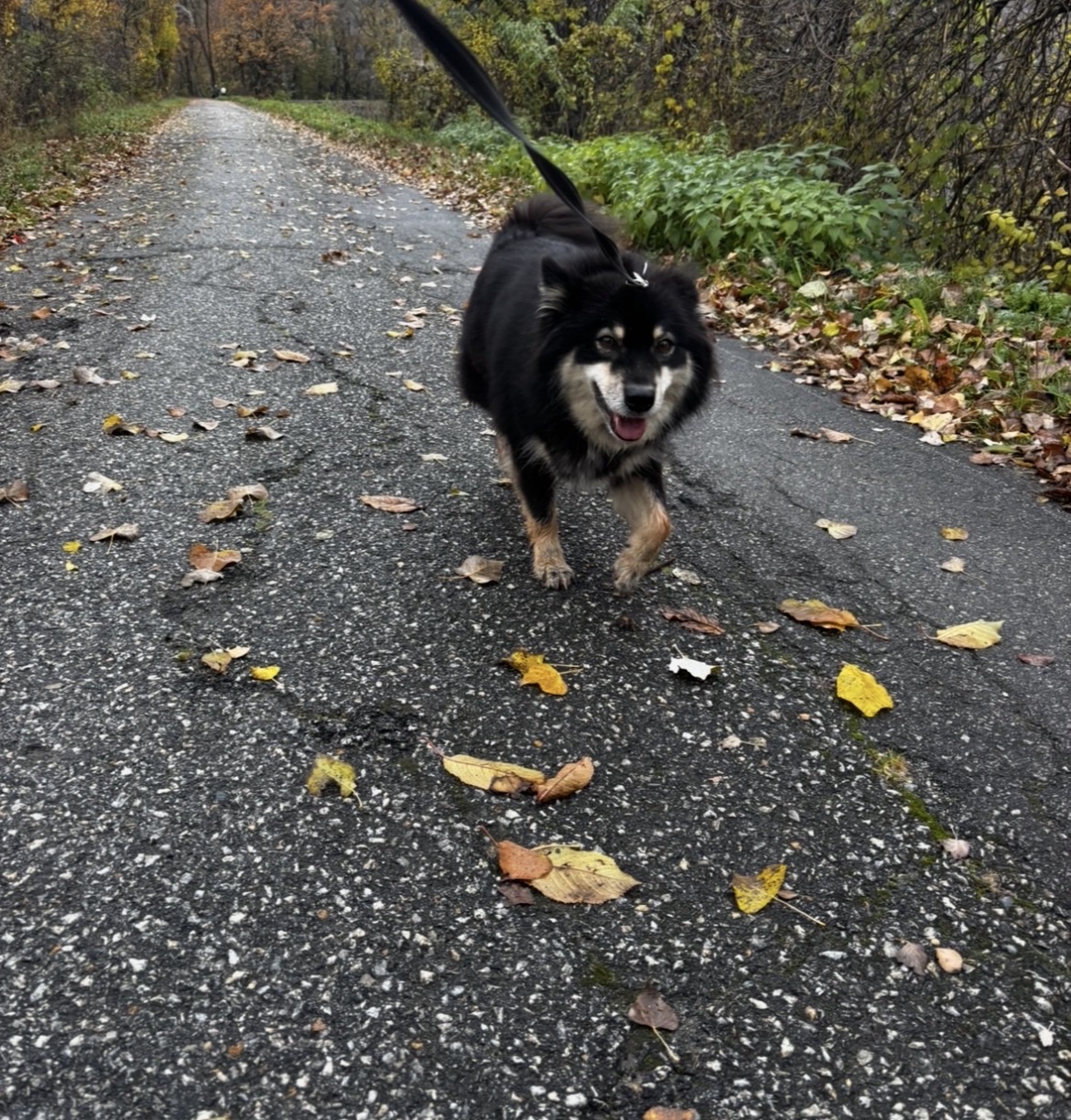 image-8