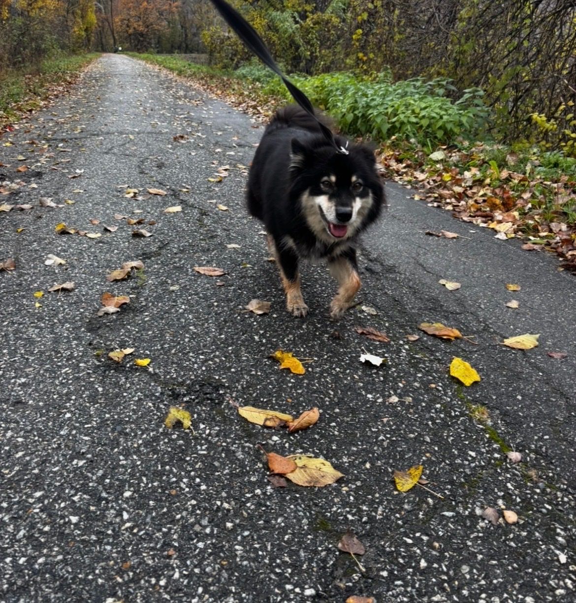 image-8