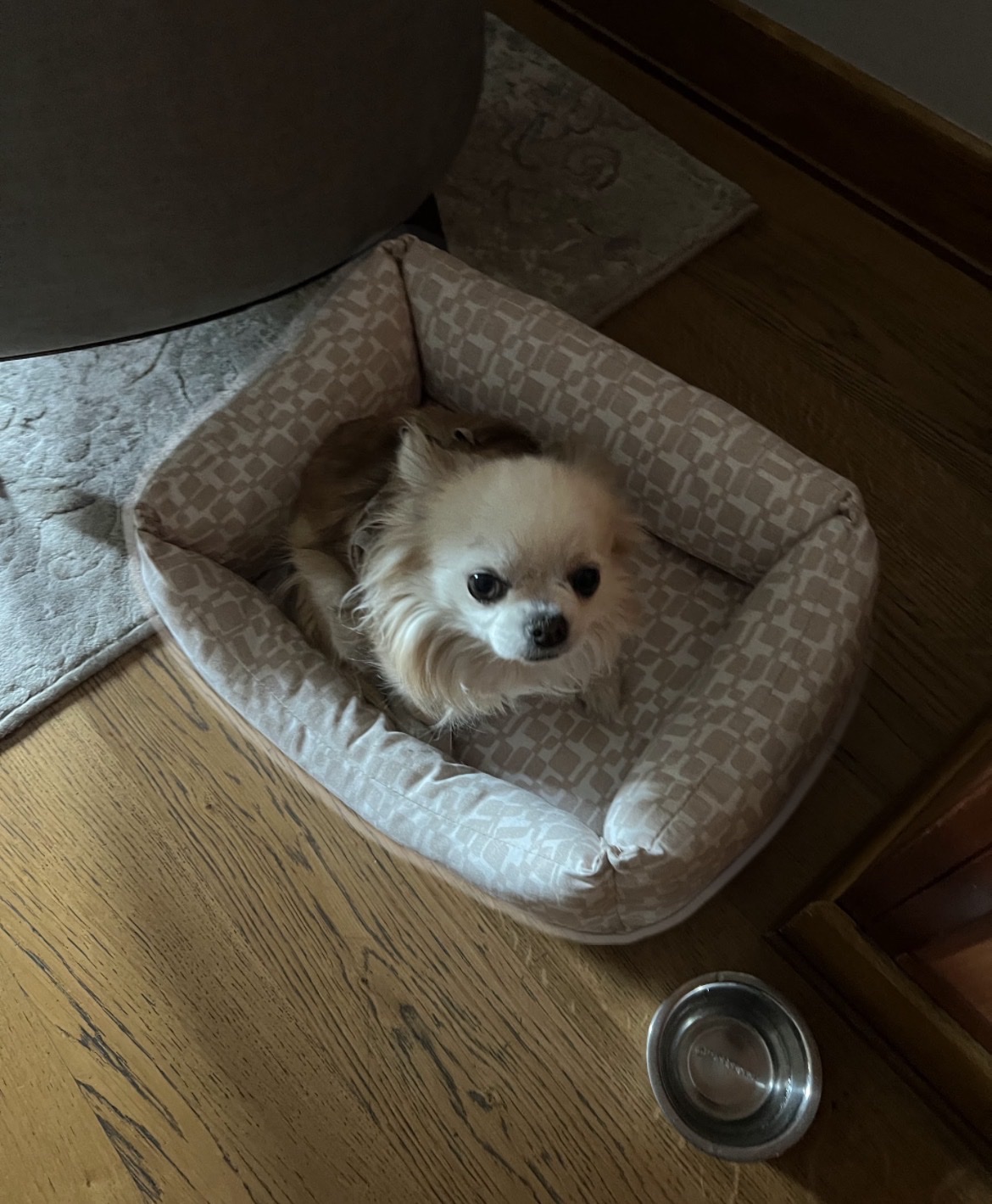 image-7