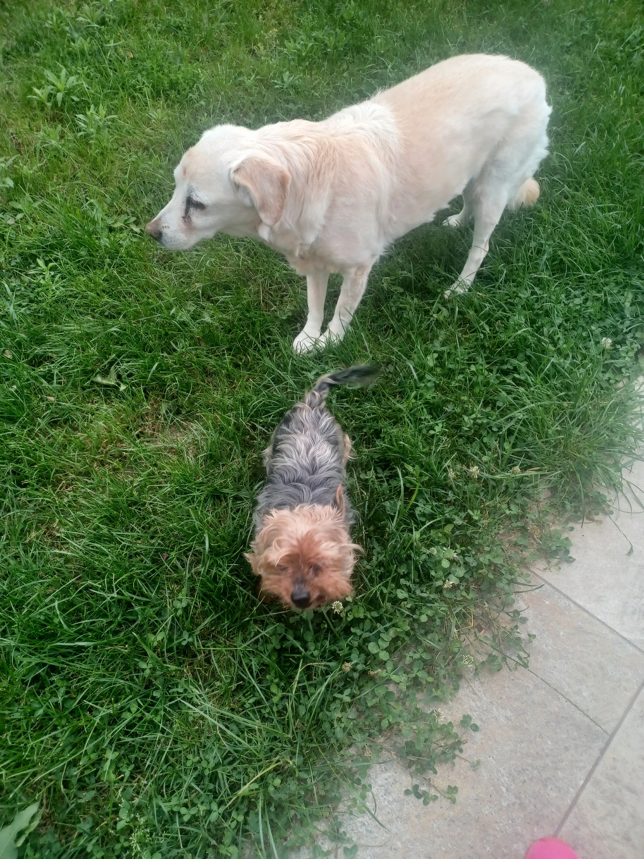 image-11