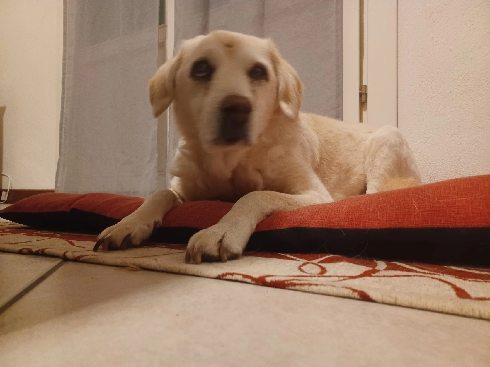 image-10