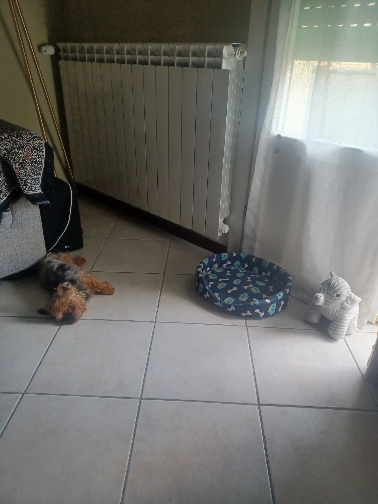 image-9