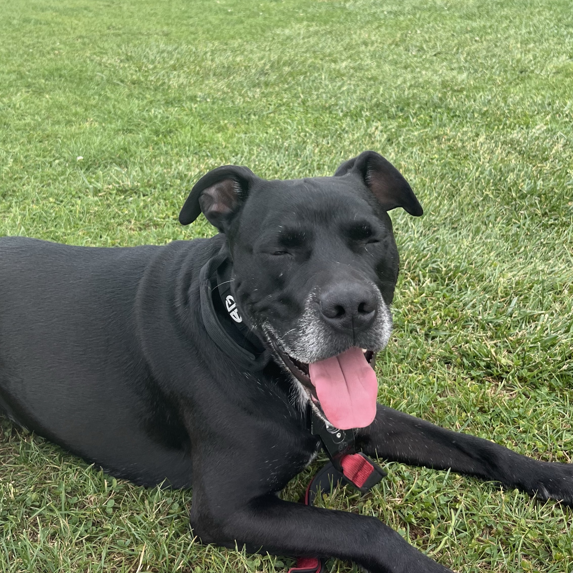 Tyson