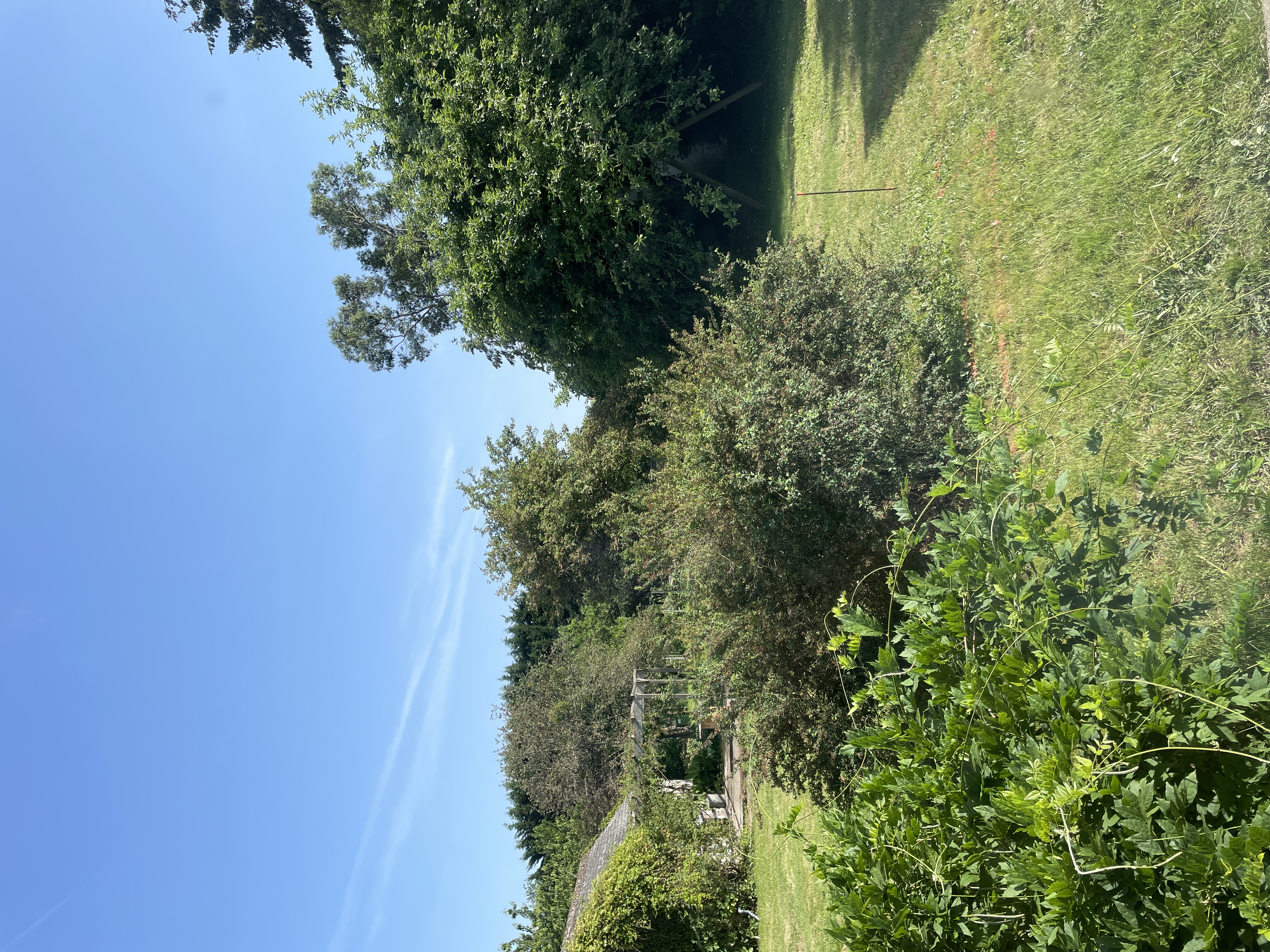 image-20
