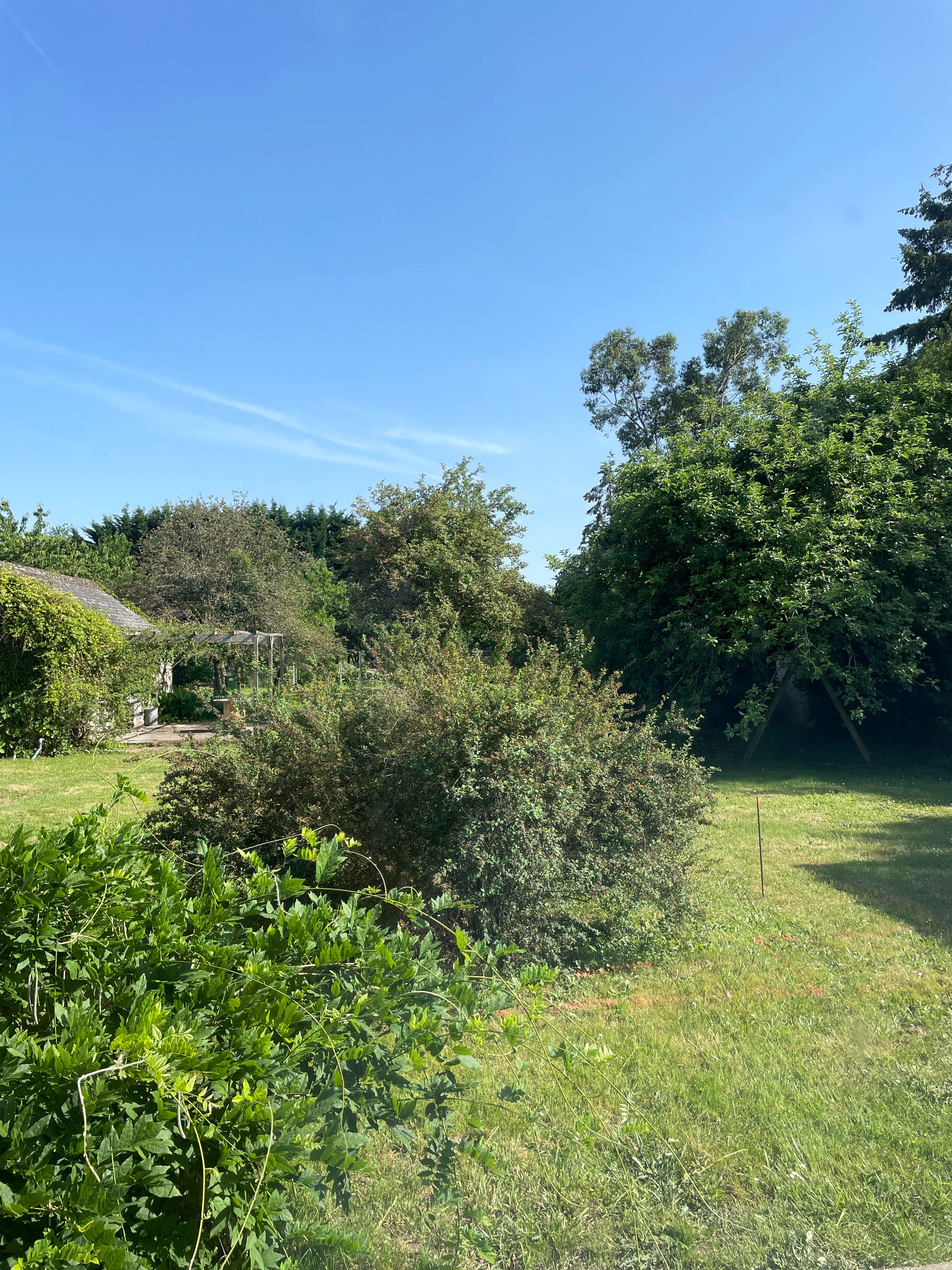 image-20