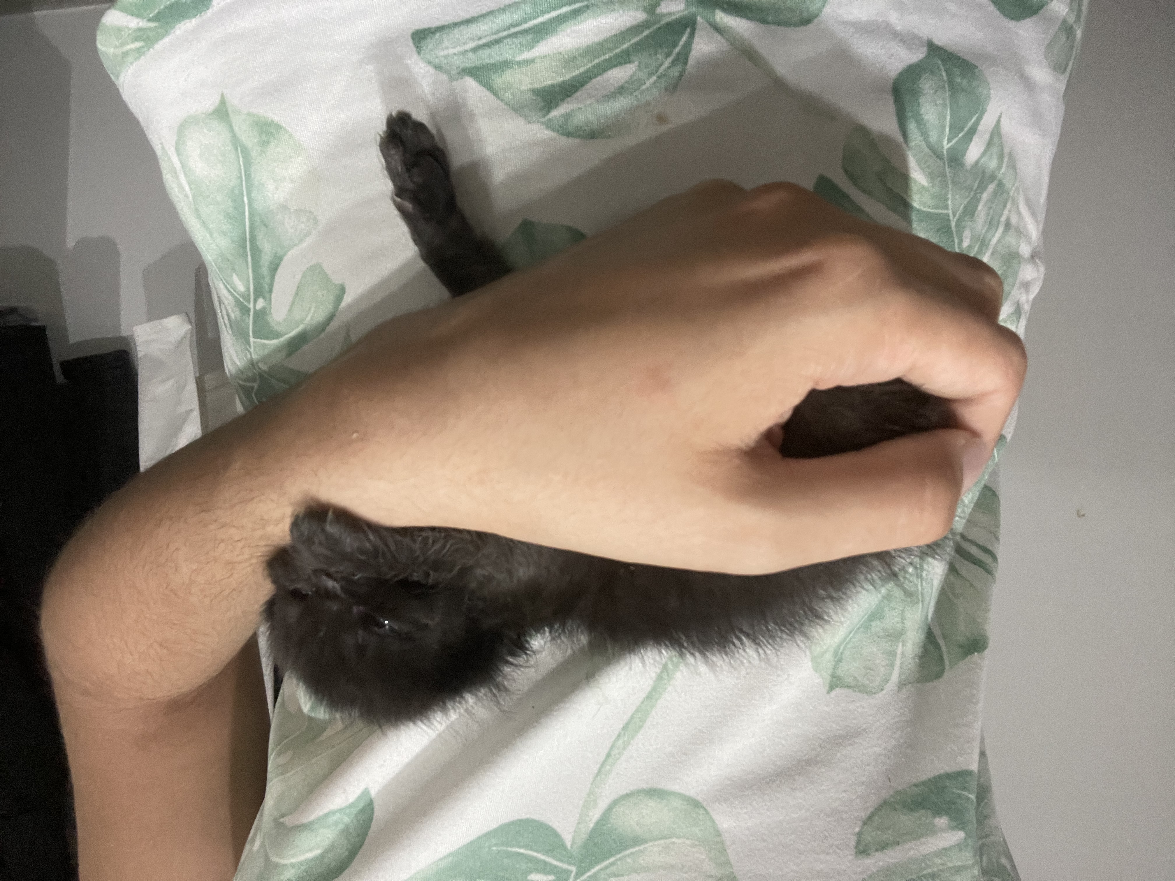 image-8